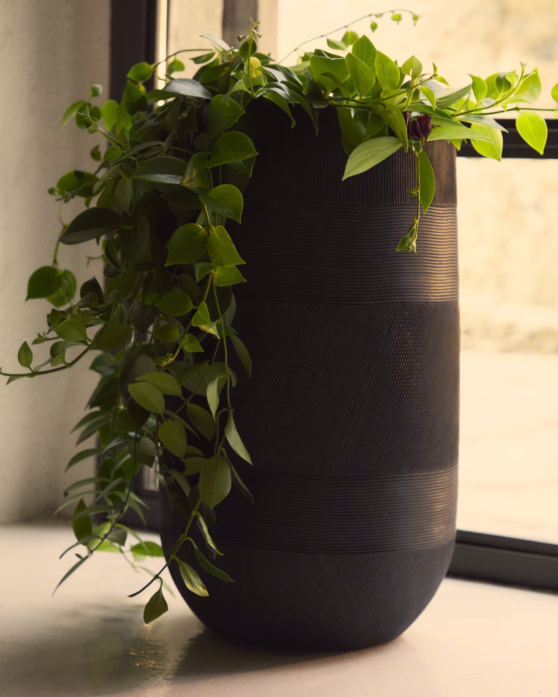 Set of pot tival black polycement