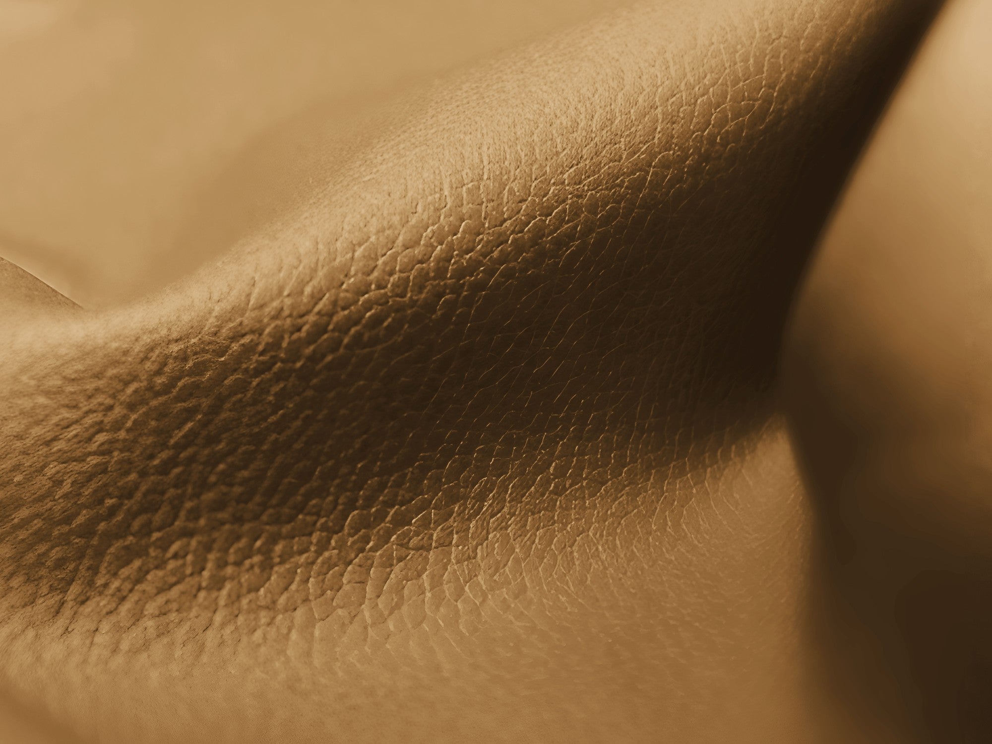 3-seater modular sofa ALOHA in caramel eco-leather