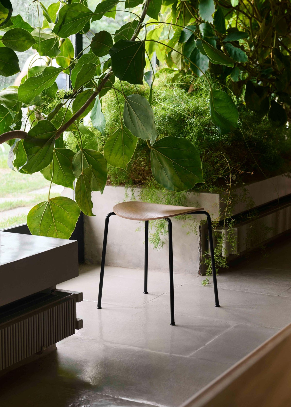 Hocker PAVILION AV36 aus Nussbaumholz mit schwarzem Stahlgestell