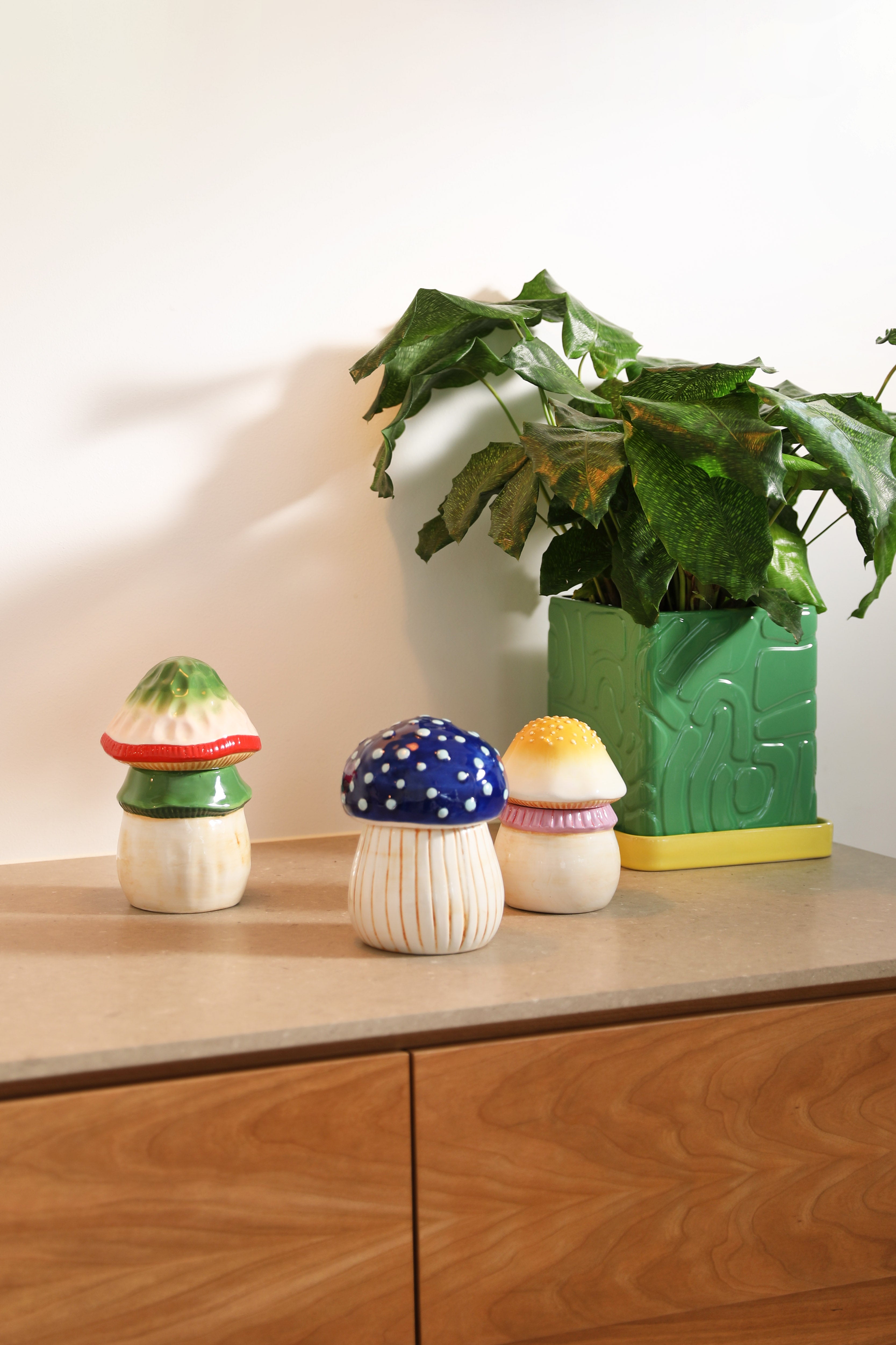 TRIBE pot in green with a yellow saucer