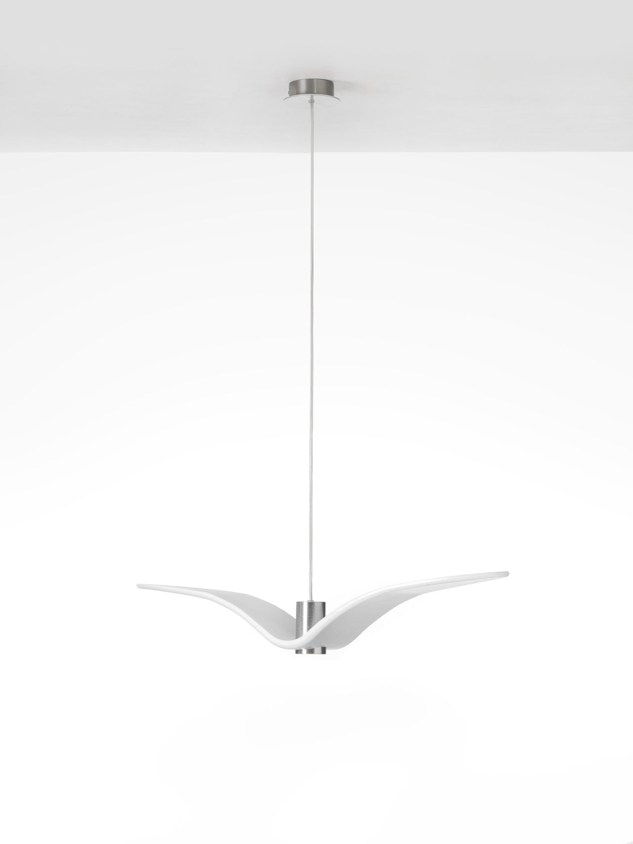 Hanging Lamp Night Birds Glas