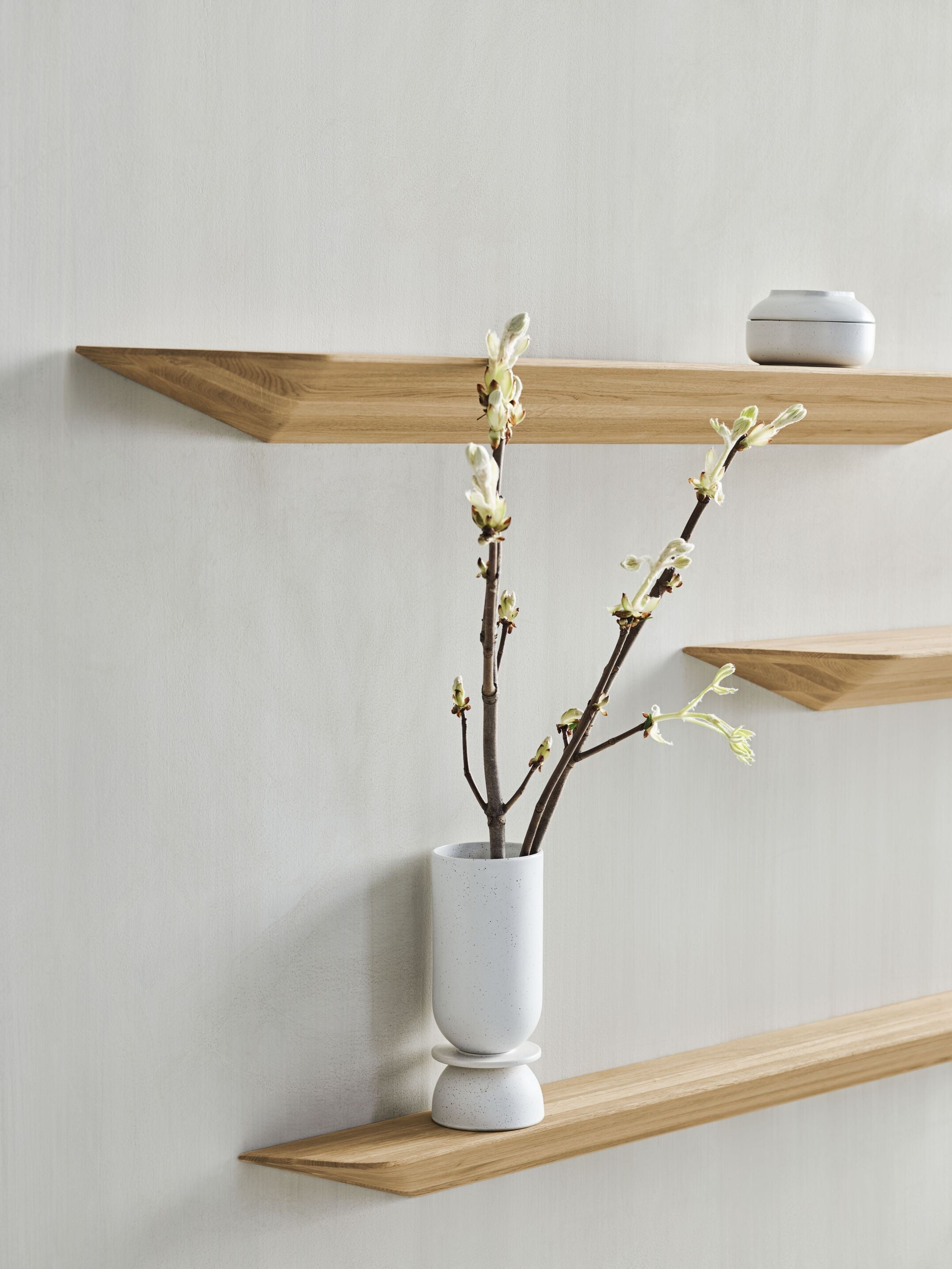 Shelf wave oak wood