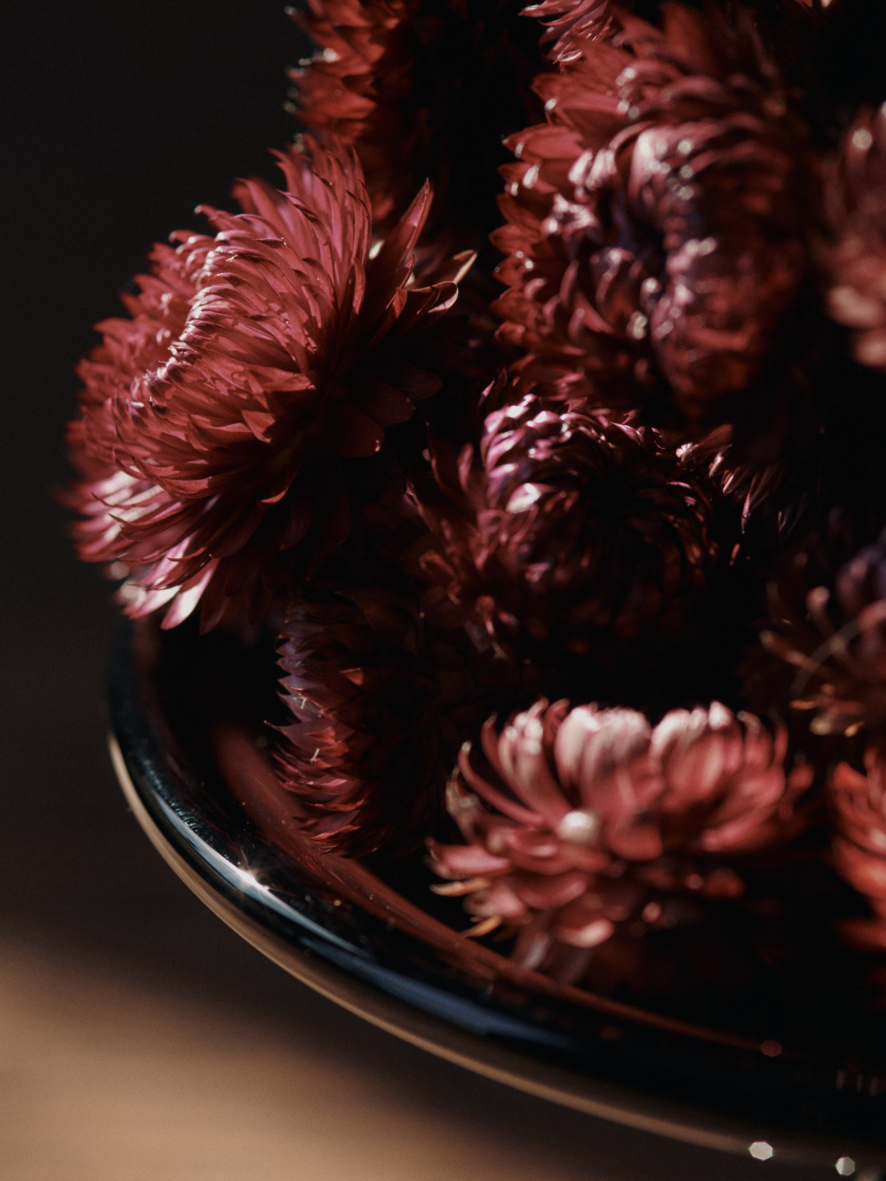 Patera DAMO burgundy [Klaudia]