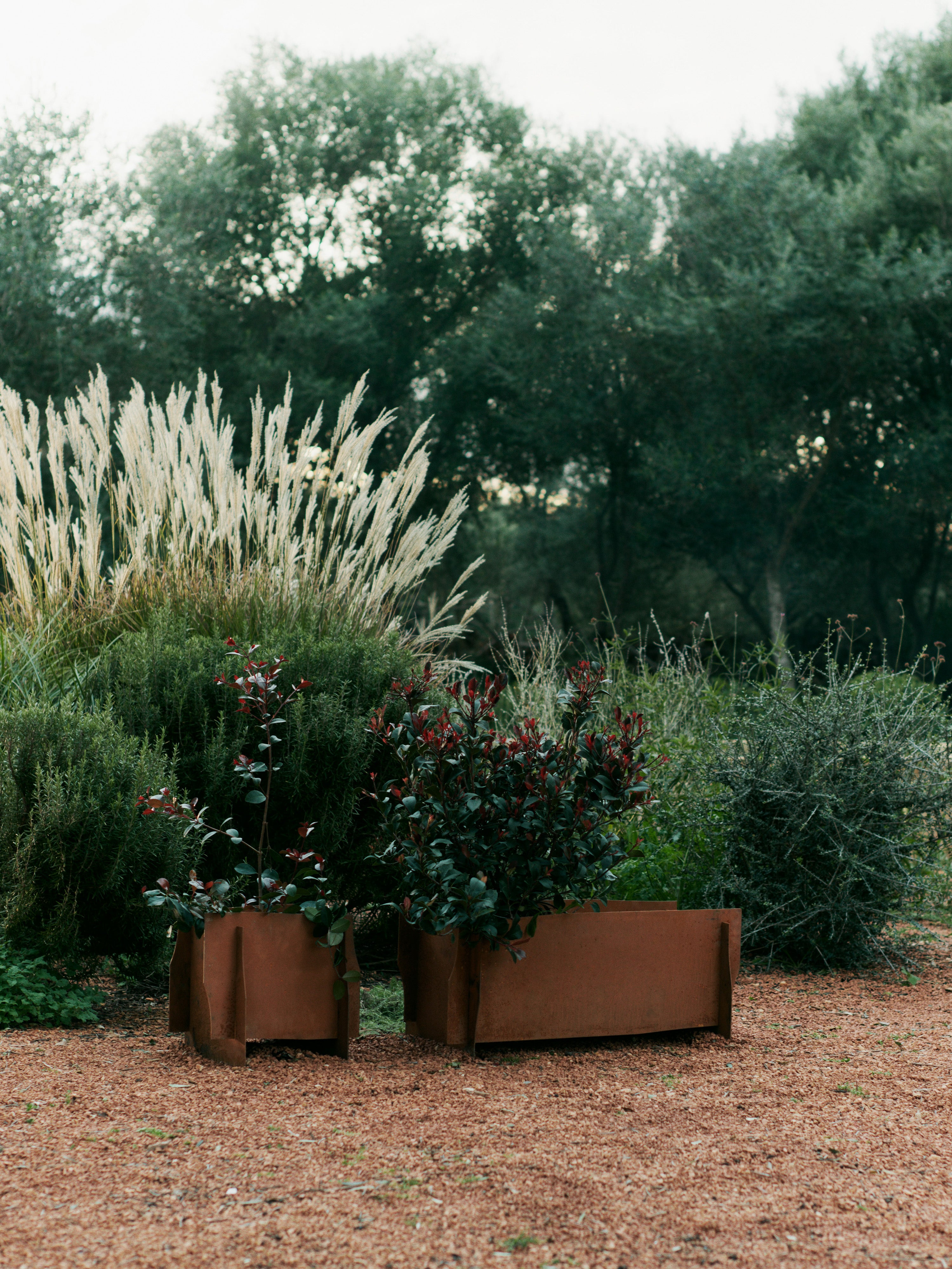 LAPEL Planter Rust