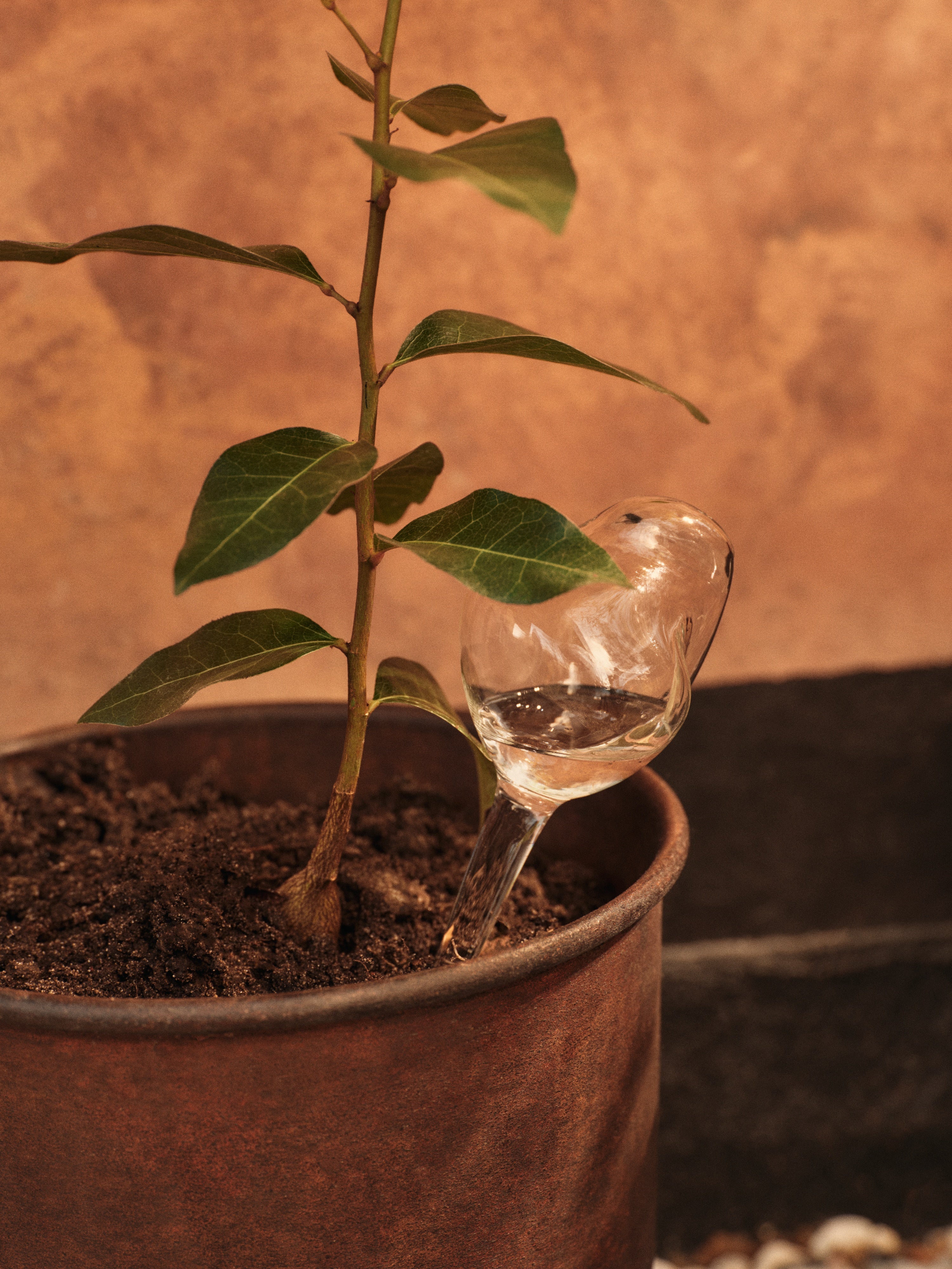 Bewässerungskugeln MERCURY aus Glas