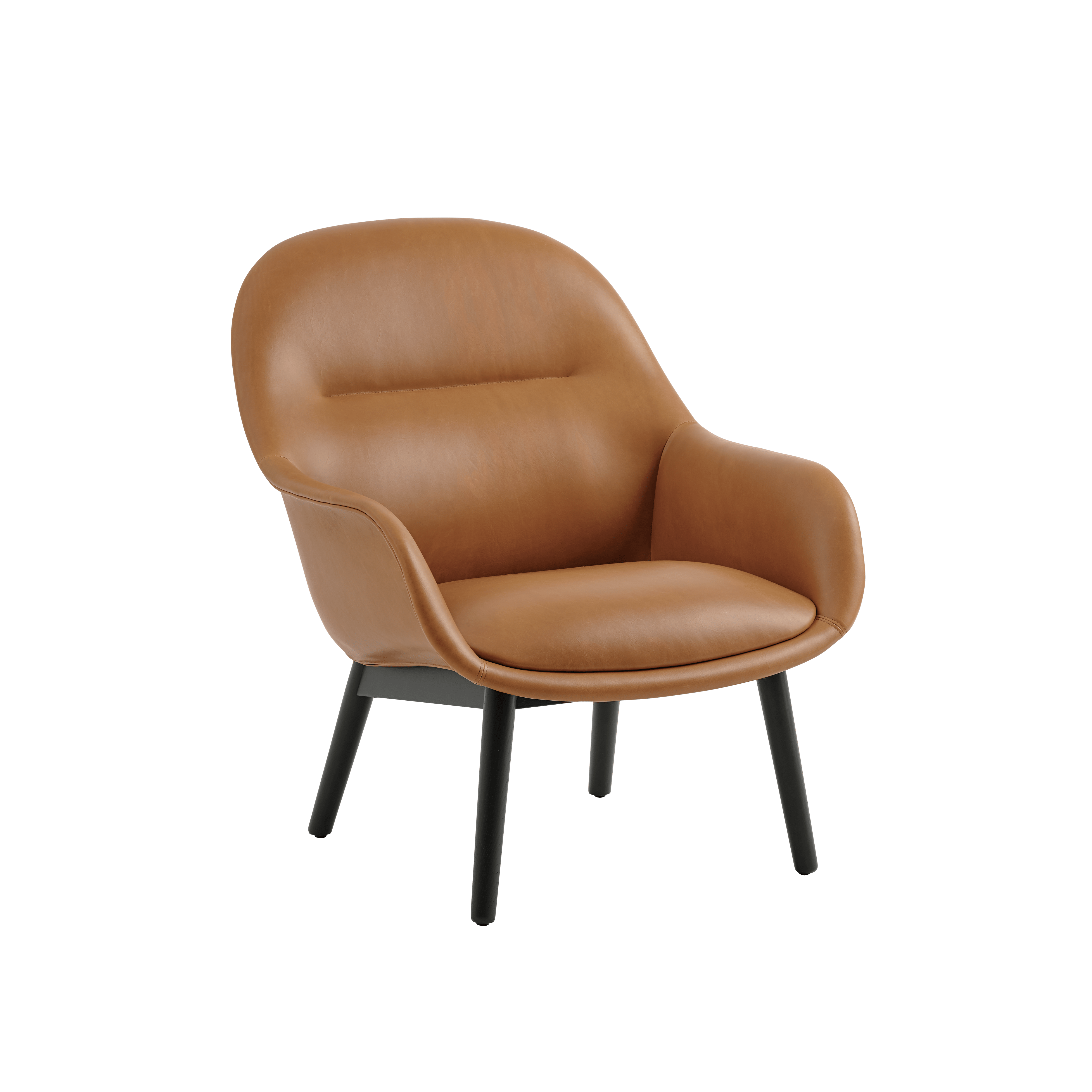FIBER Armchair Customized with Wooden Base