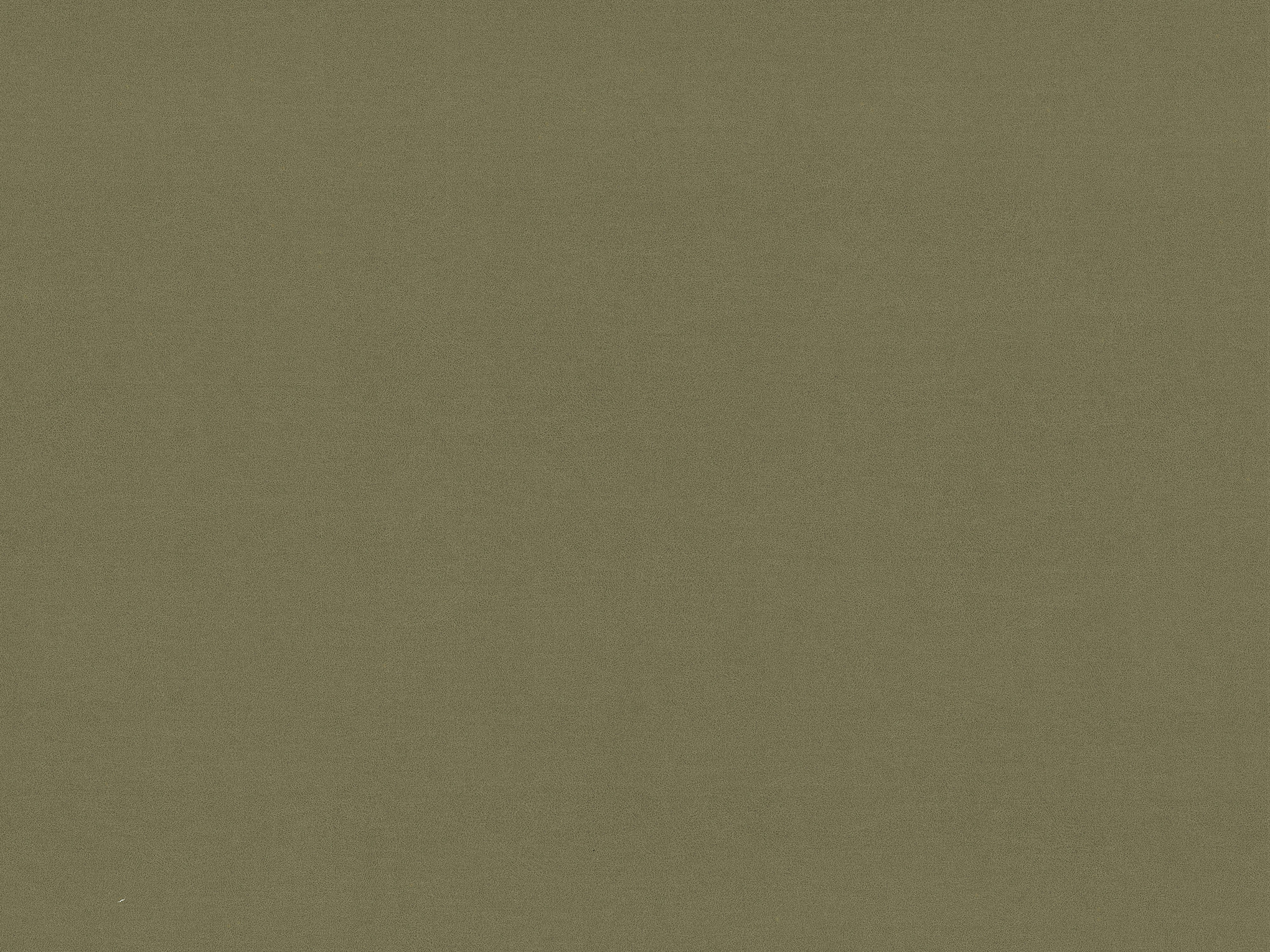 Samtbett AVELINE moosgrün