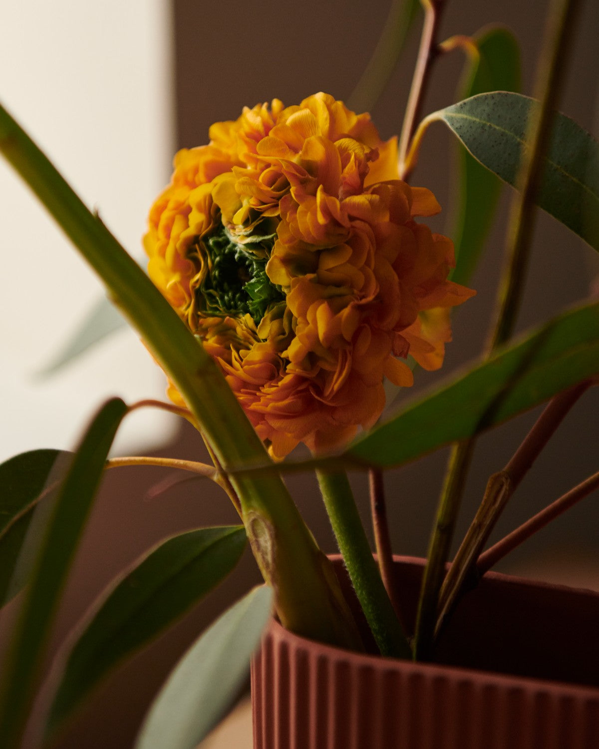 RIDGE Terracotta Vase