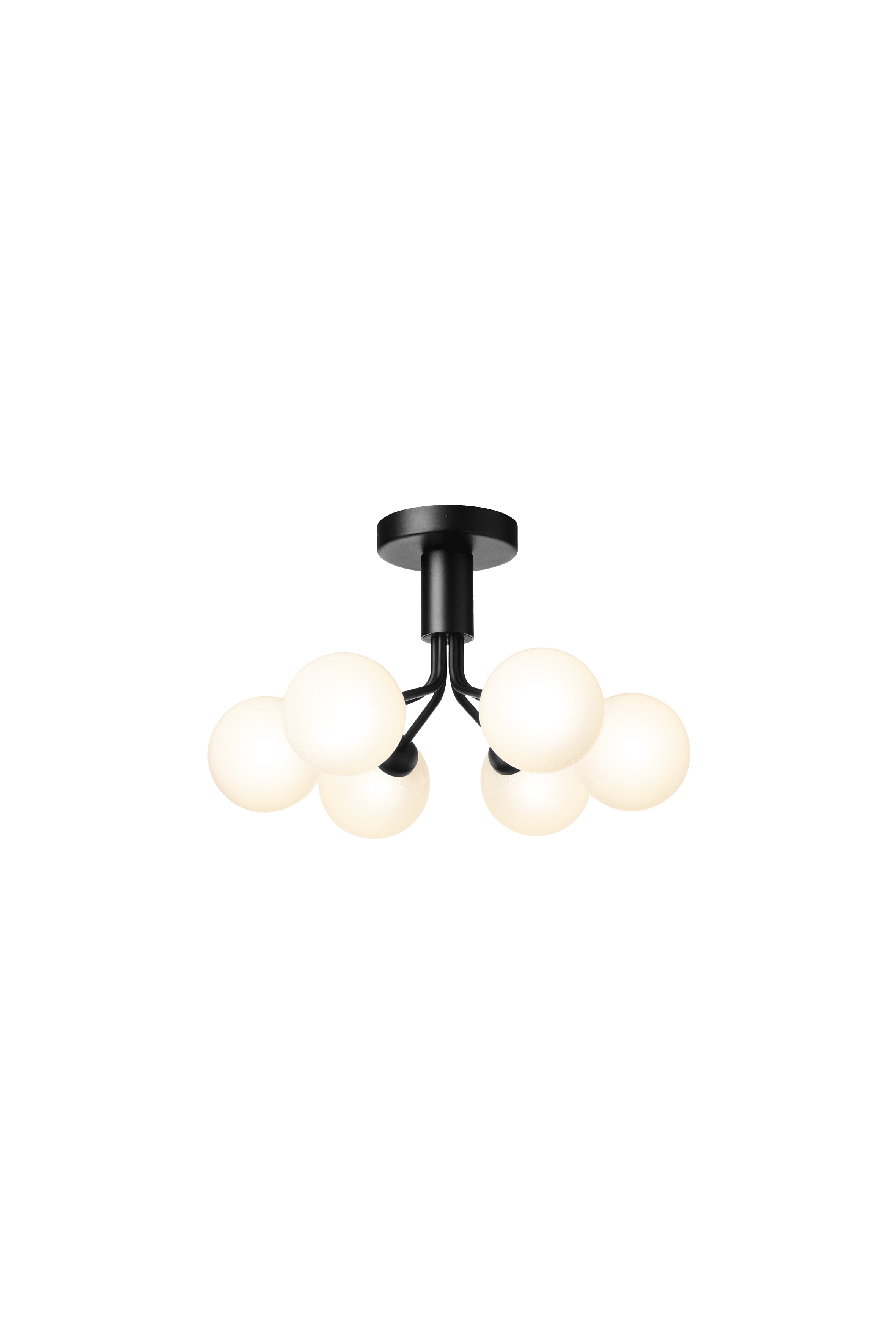 APIALES 6 Black Ceiling Lamp with Opal Glass [Antonina] [Amelia spr]