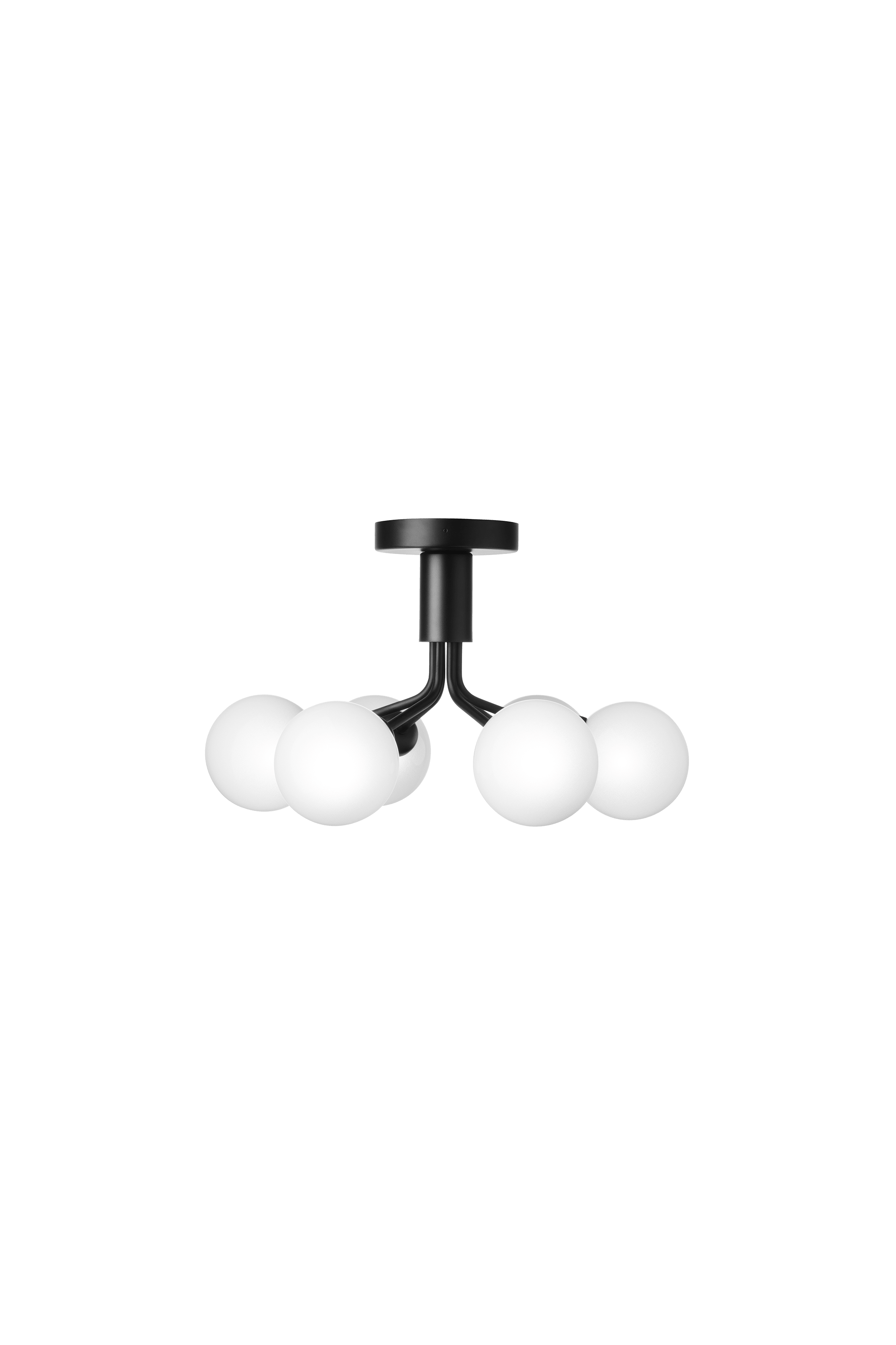 APIALES 6 Black Ceiling Lamp with Opal Glass [Antonina] [Amelia spr]