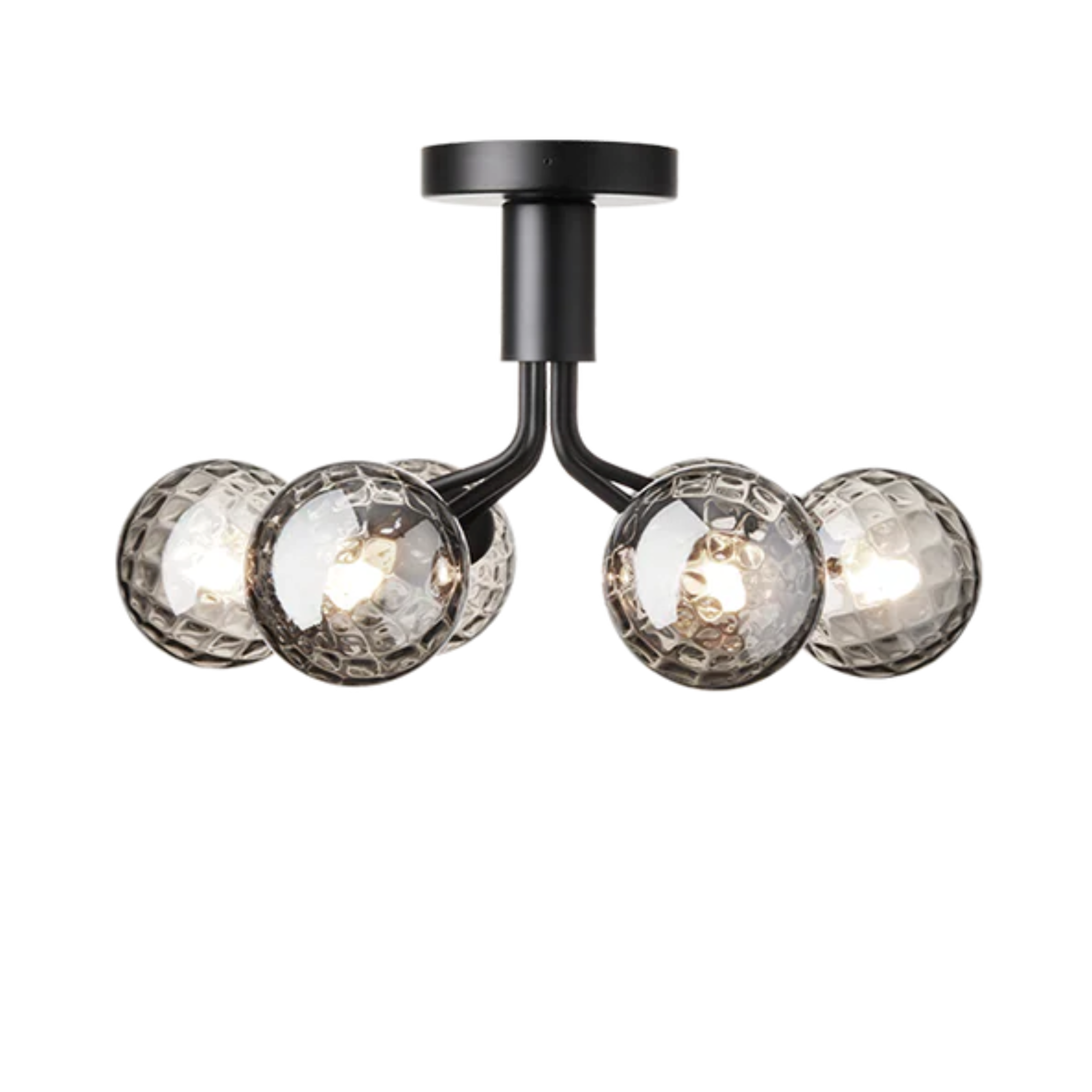 APIALES 6 Ceiling Lamp Black with Black Glass [Antonina] [Amelia spr]