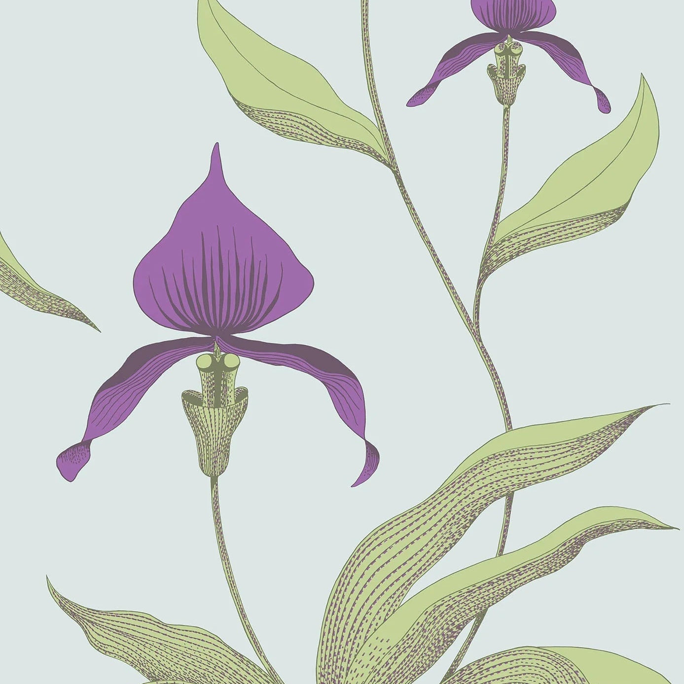 Wallpaper with a plant motif of orchid flowers CONTEMPORARY COLLECTION - ORCHID purple with green