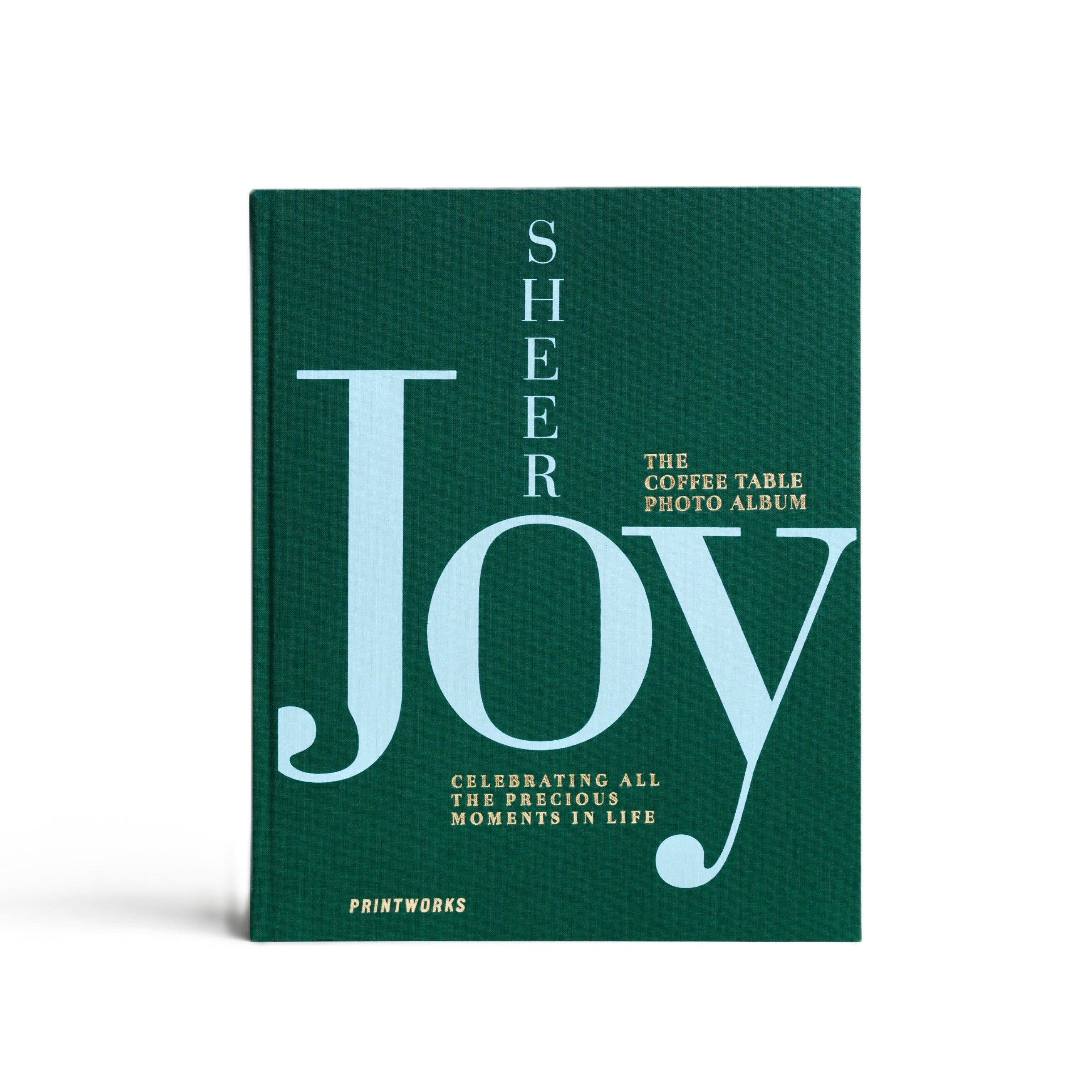 SHEER JOY Photo Album Green with Blue