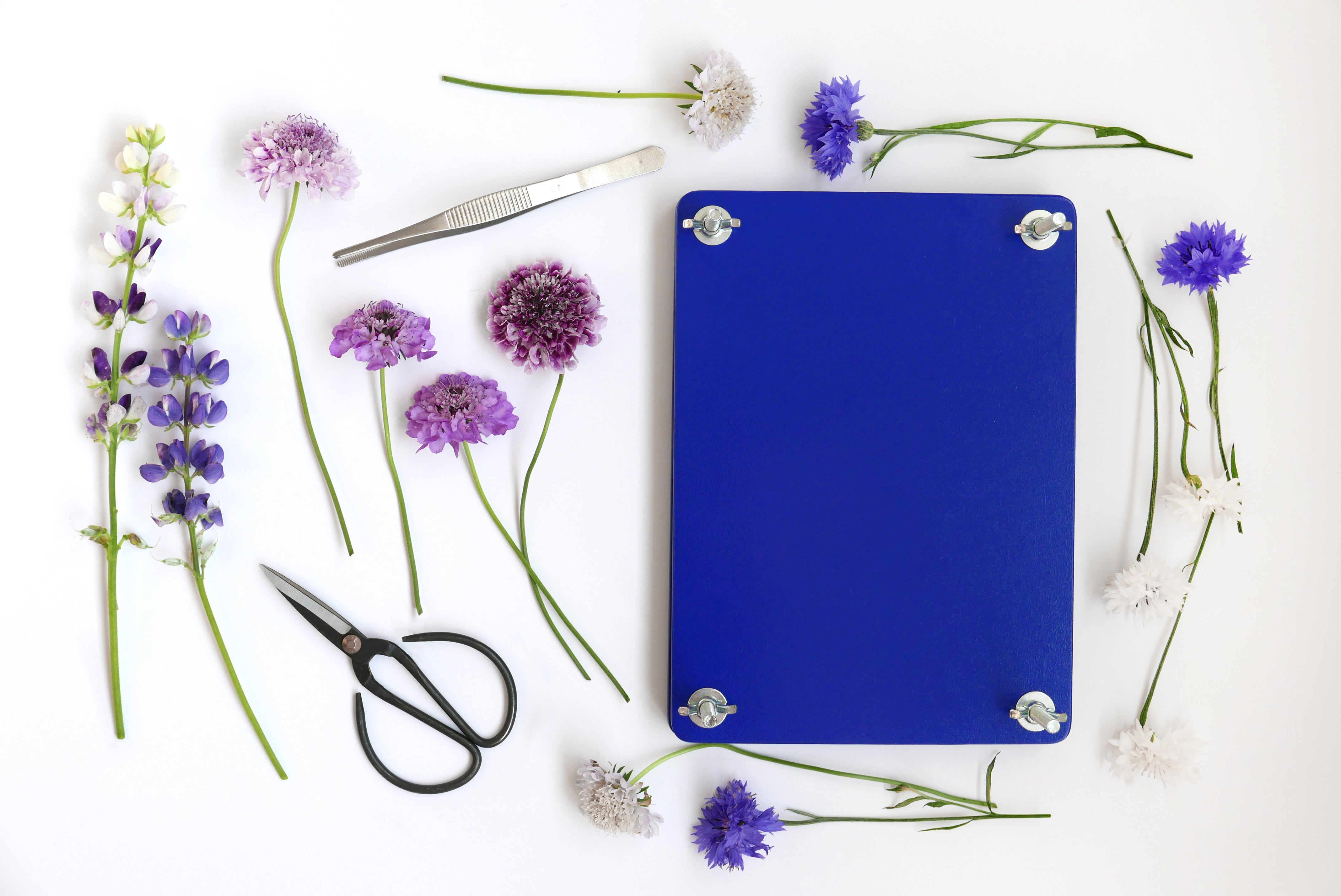 FLOWER PRESS SET Blue