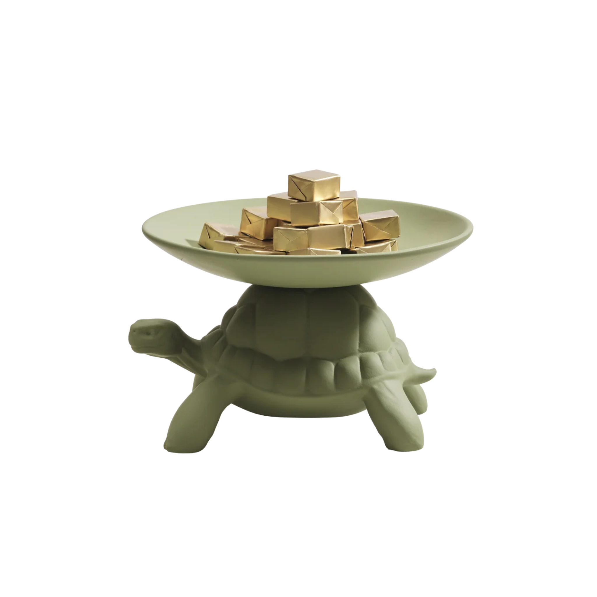 Taca TURTLE CARRY green