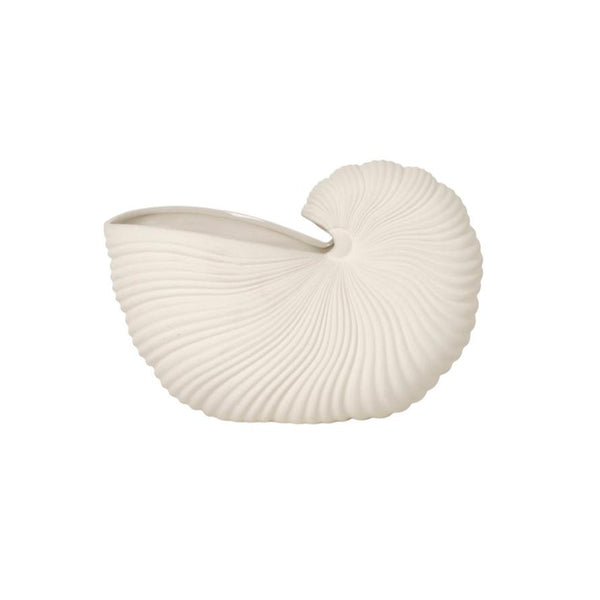 Vase shell sweat broken white