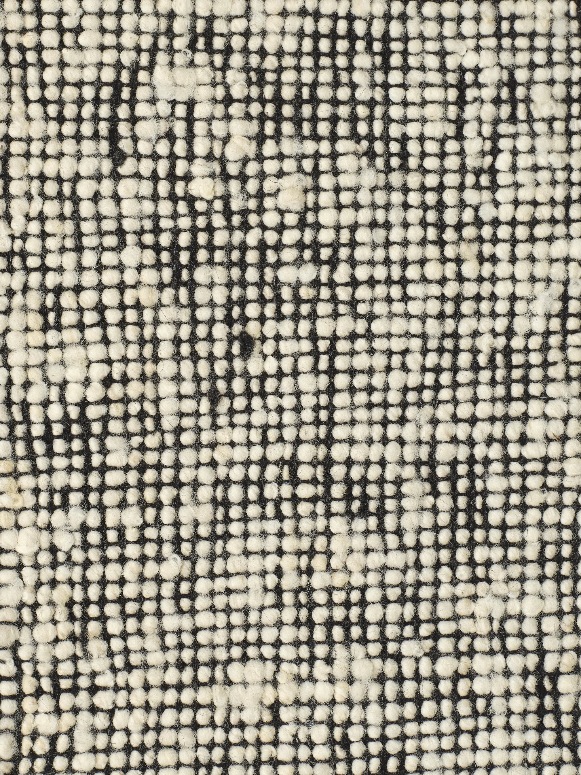 Monochrome SPECK Rug