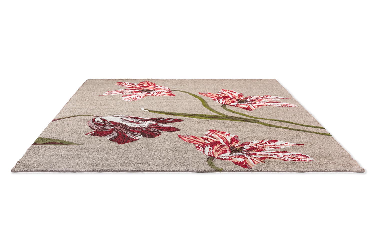 BOTANICAL TULIP BURGUNDY beige Außenteppich