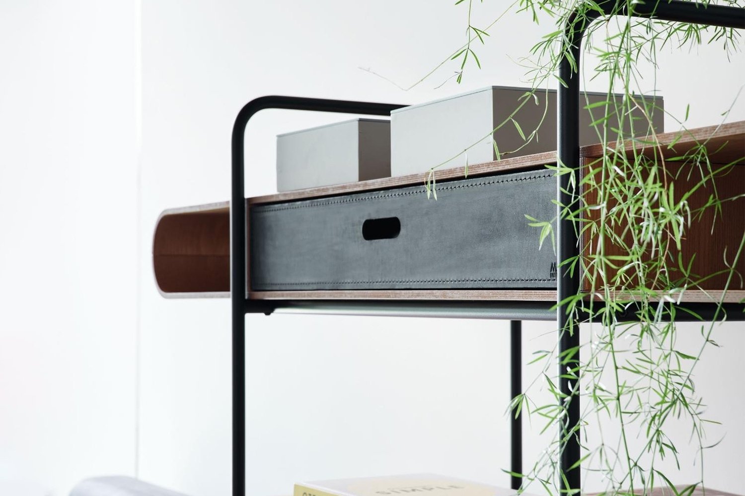 APELLE customizable shelf
