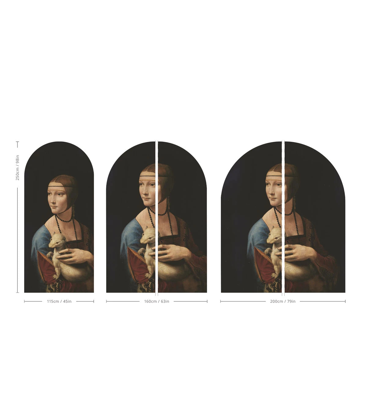 Vlies-Tapete in Bogenform LADY WITH AN ERMINE schwarz