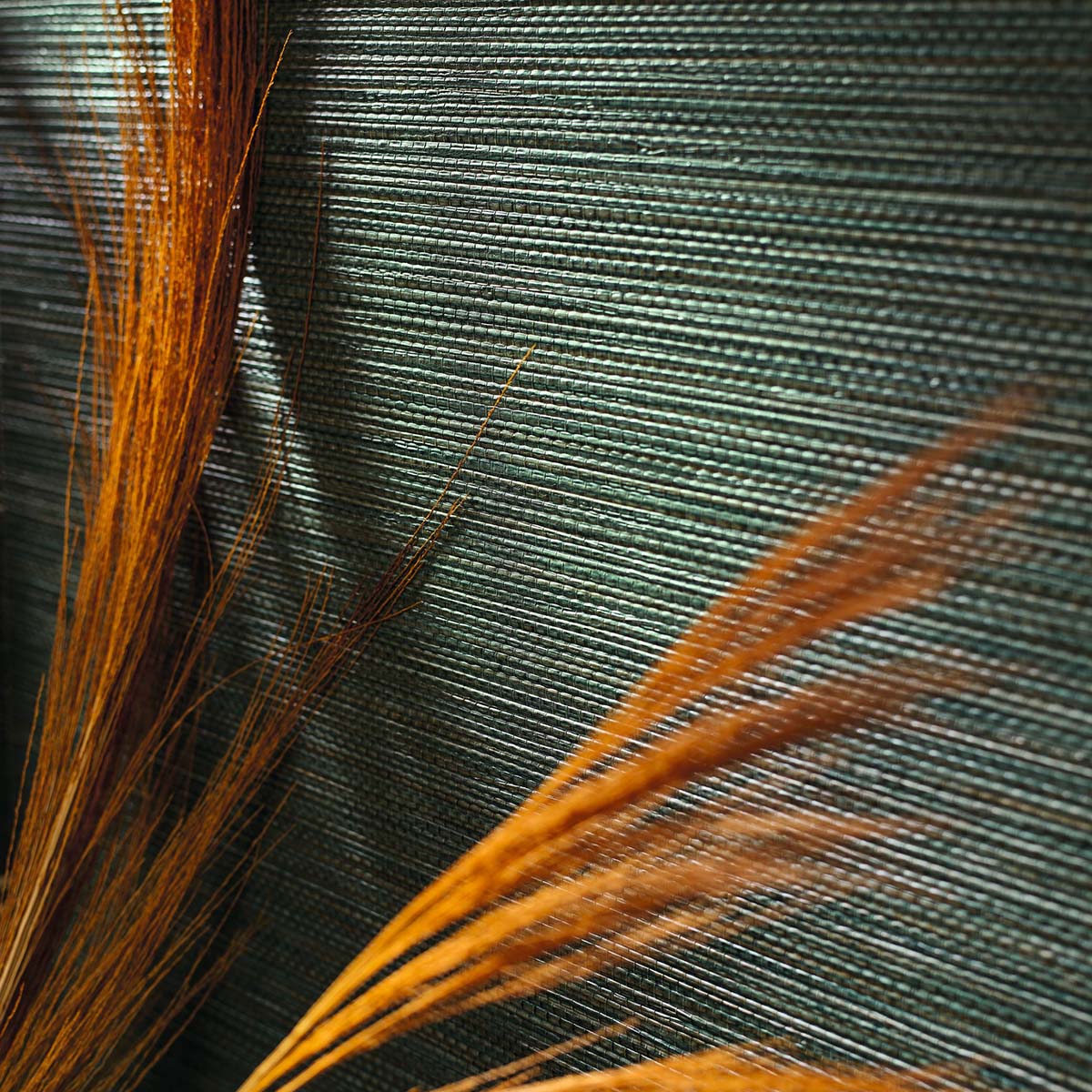 Strukturierte Tapete, die Seegrasfasern imitiert ZOSTERA - TERRE DE SIENNE orange