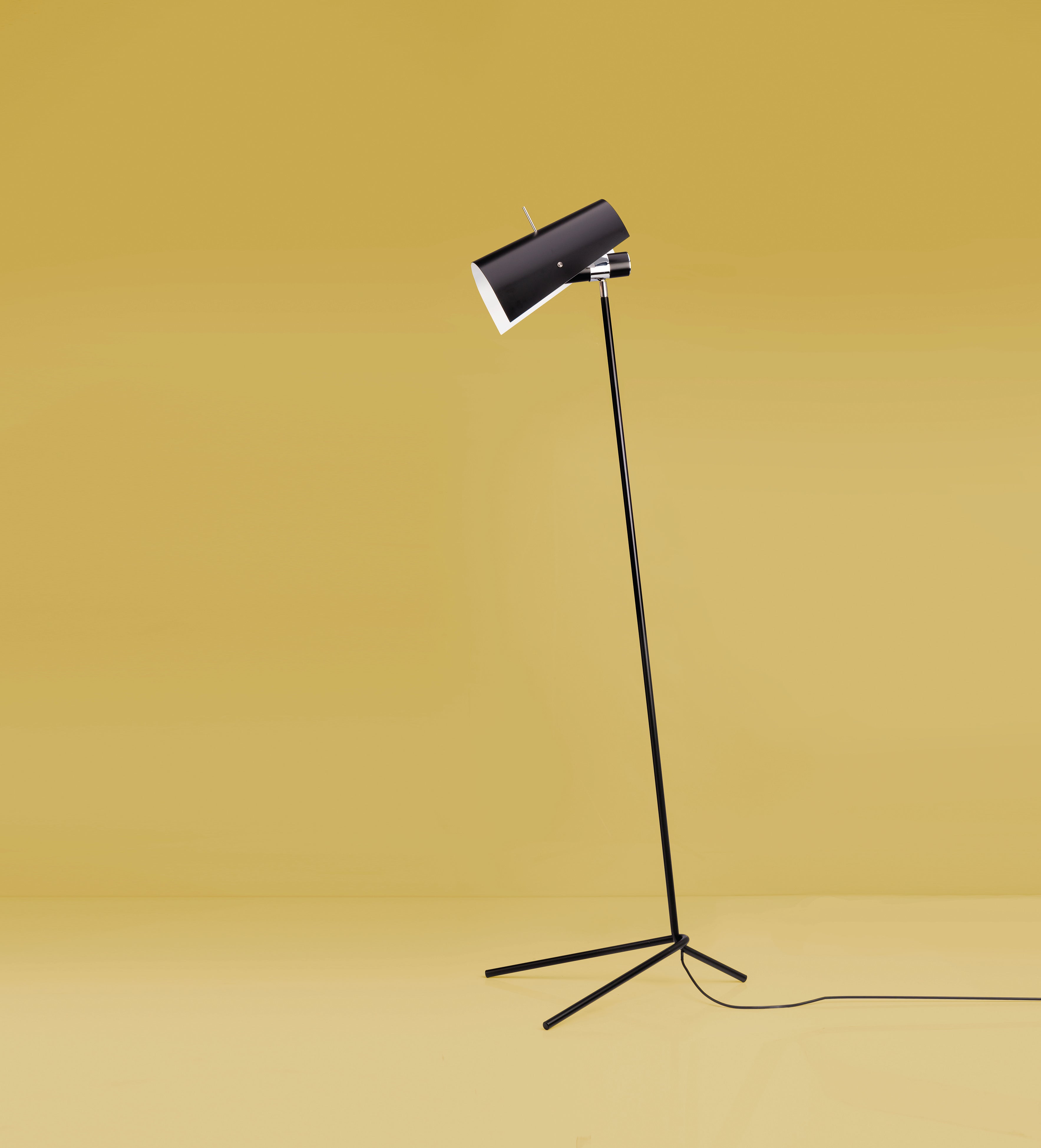 Claritas black floor lamp