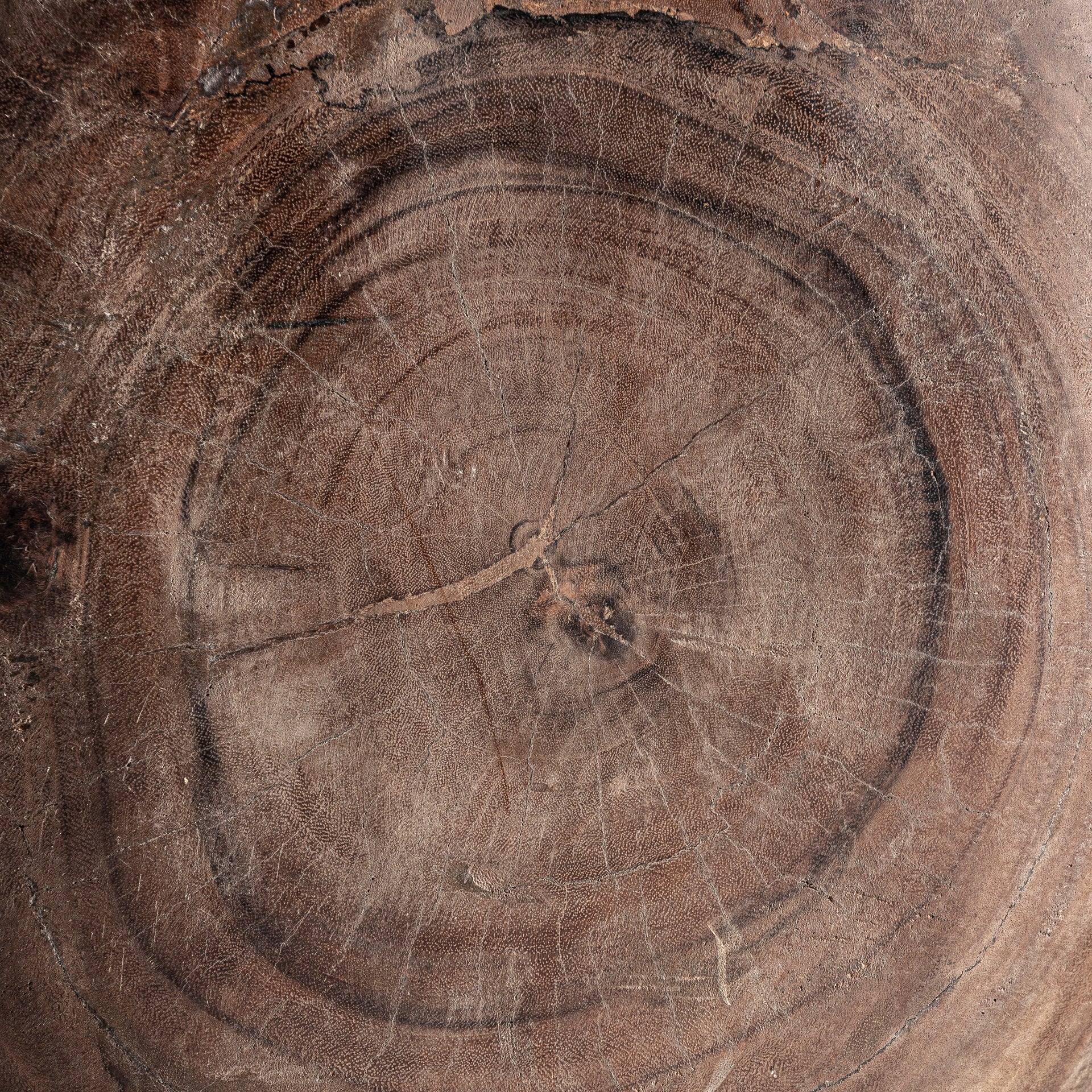 VIANNE Console Suar Wood