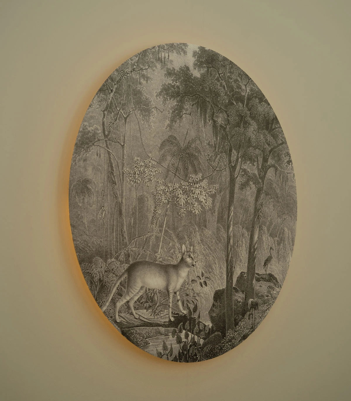 Wandleuchte DOTS LIGHTING - JUNGLE CAT grau