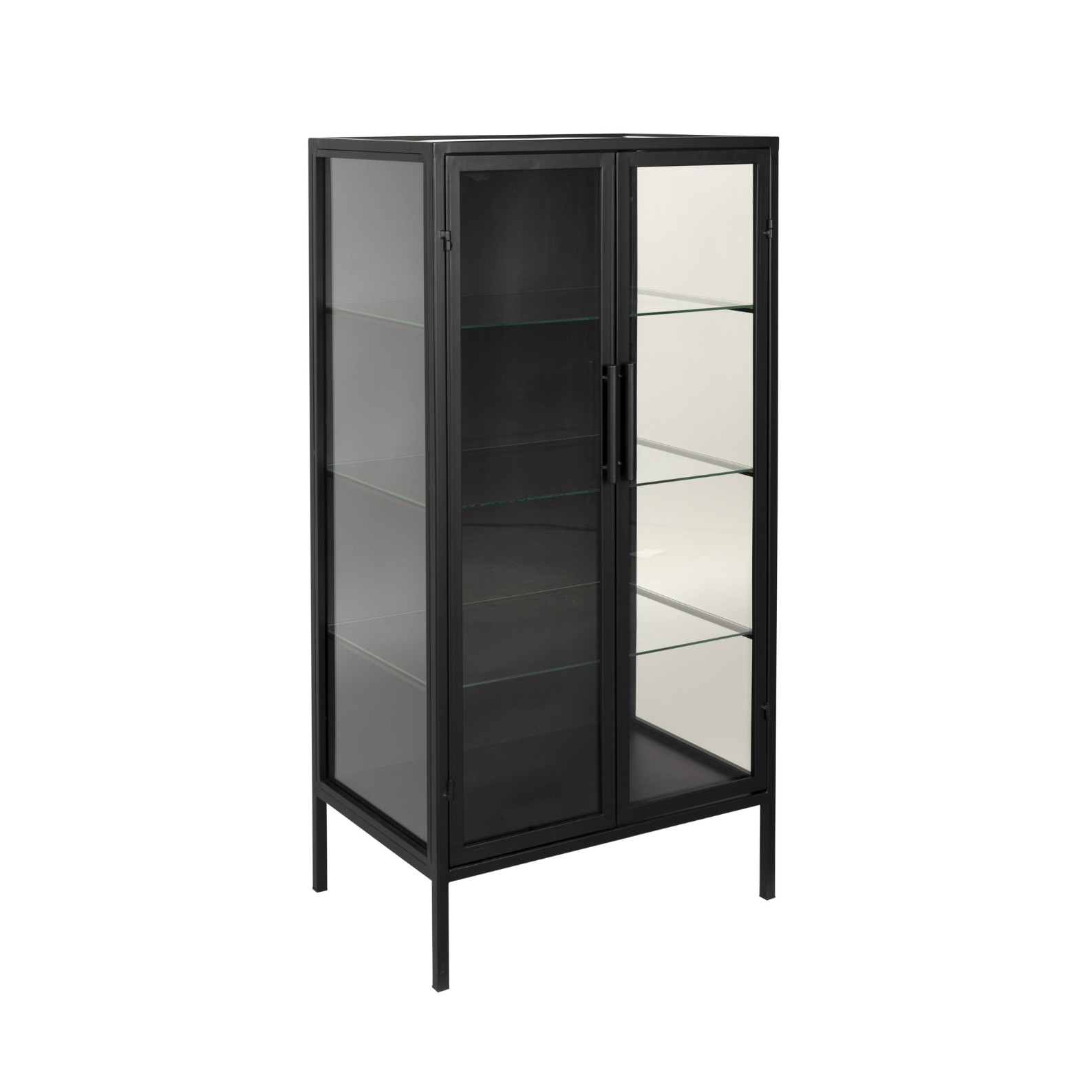 Rob Black glass bookcase