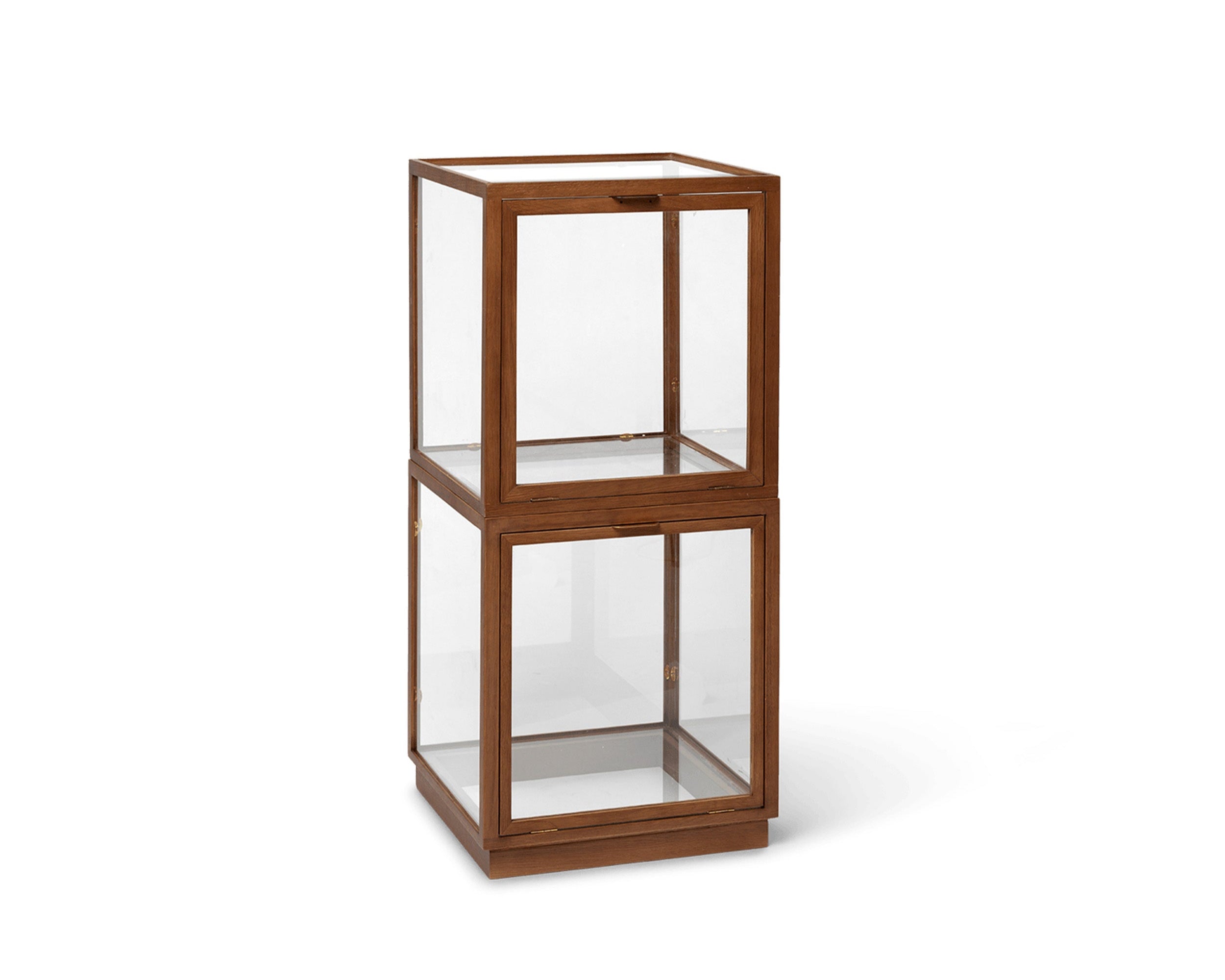 MIRU GLASS MONTRE Vitrine aus dunkelbrauner Eiche 