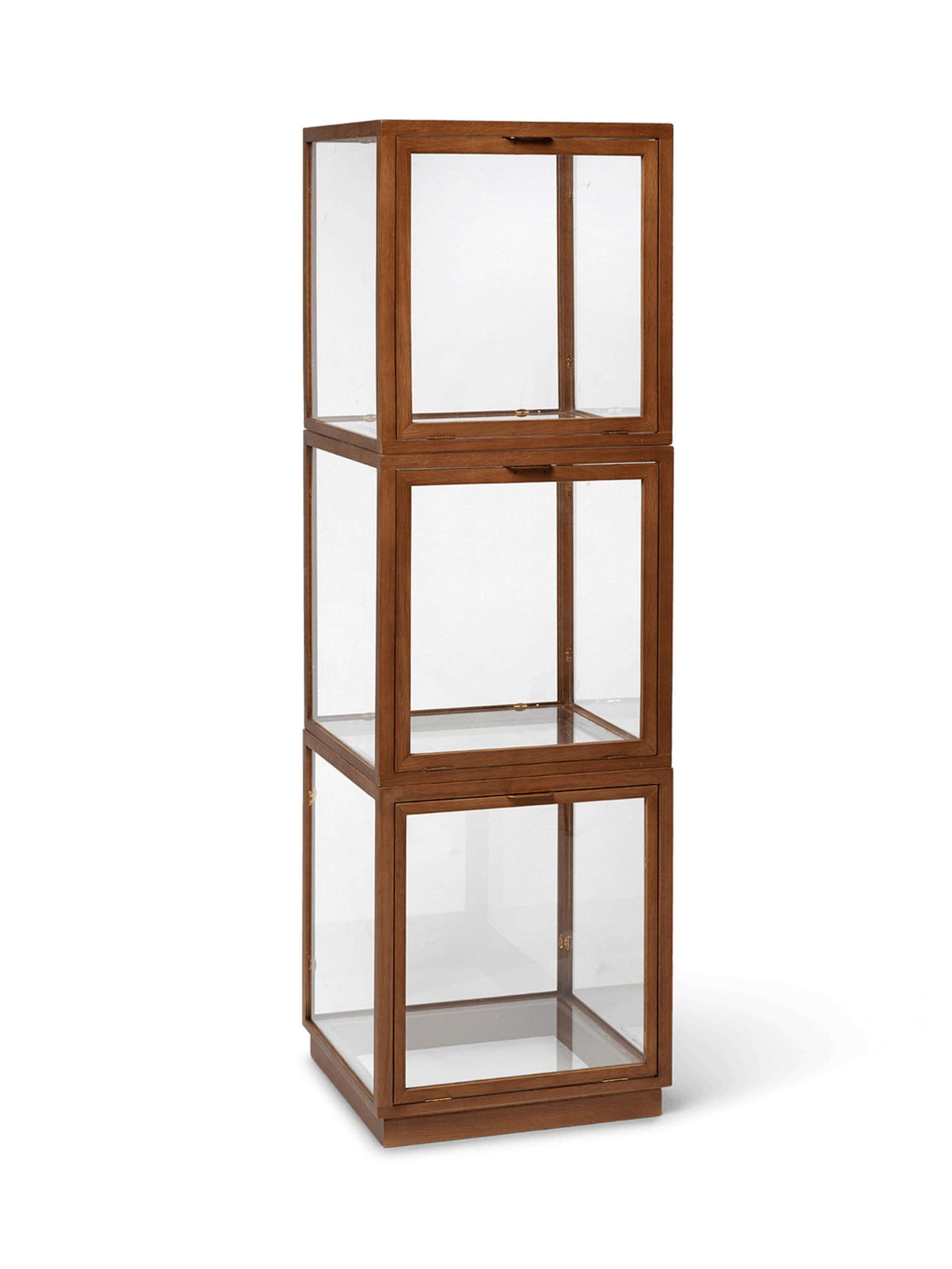 MIRU GLASS MONTRE Vitrine aus dunkelbrauner Eiche 