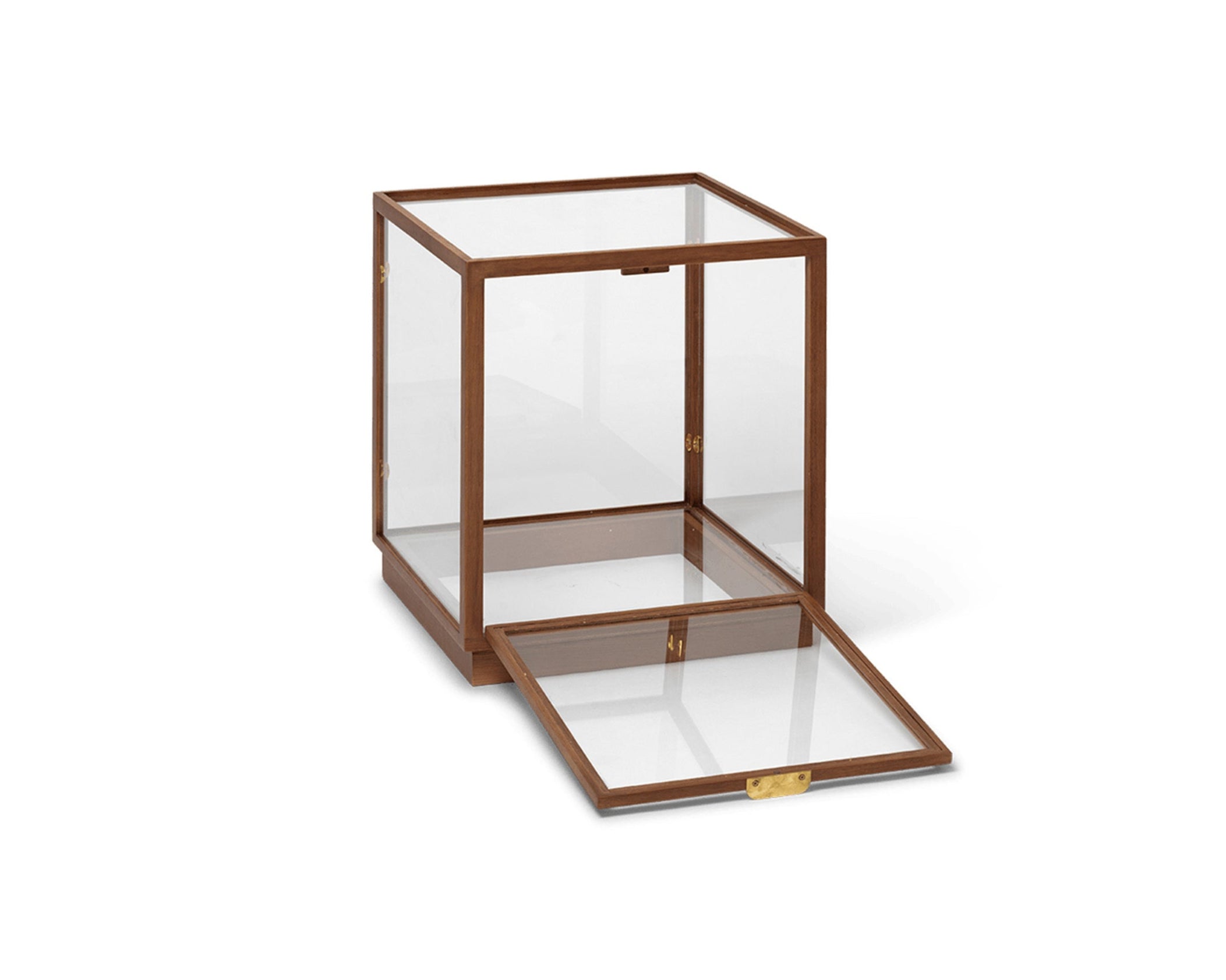 MIRU GLASS MONTRE Vitrine aus dunkelbrauner Eiche 