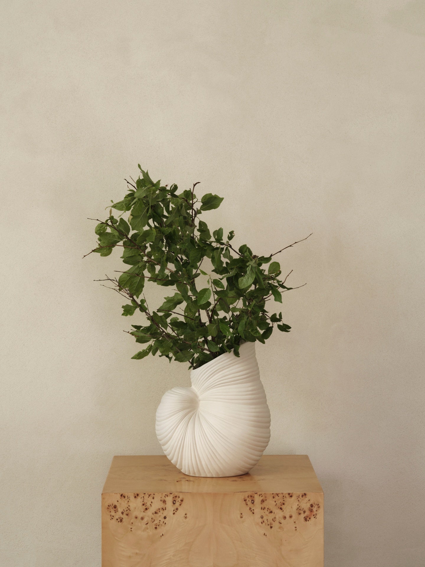 Muschelvase Vase gebrochen weiß