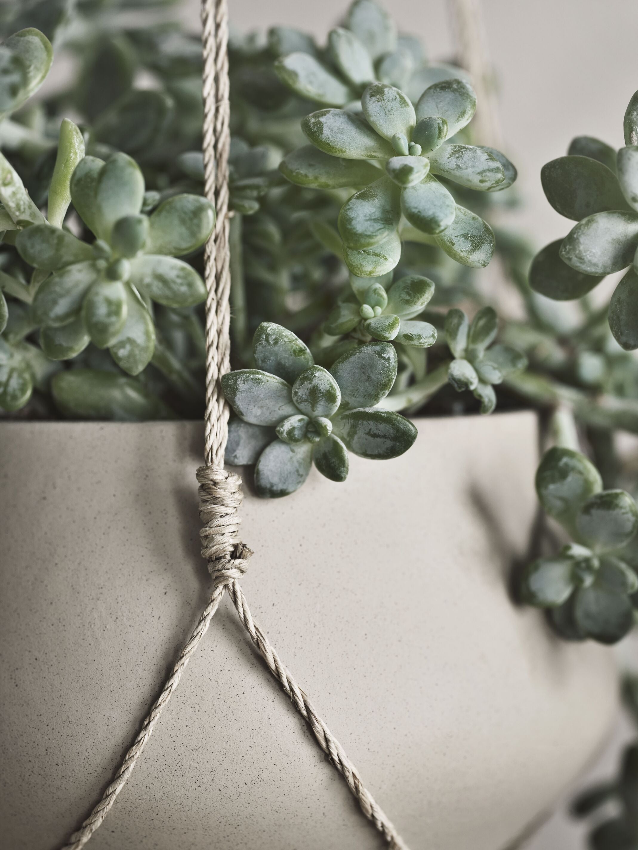 Hanging Pot Grove Beige Keramik