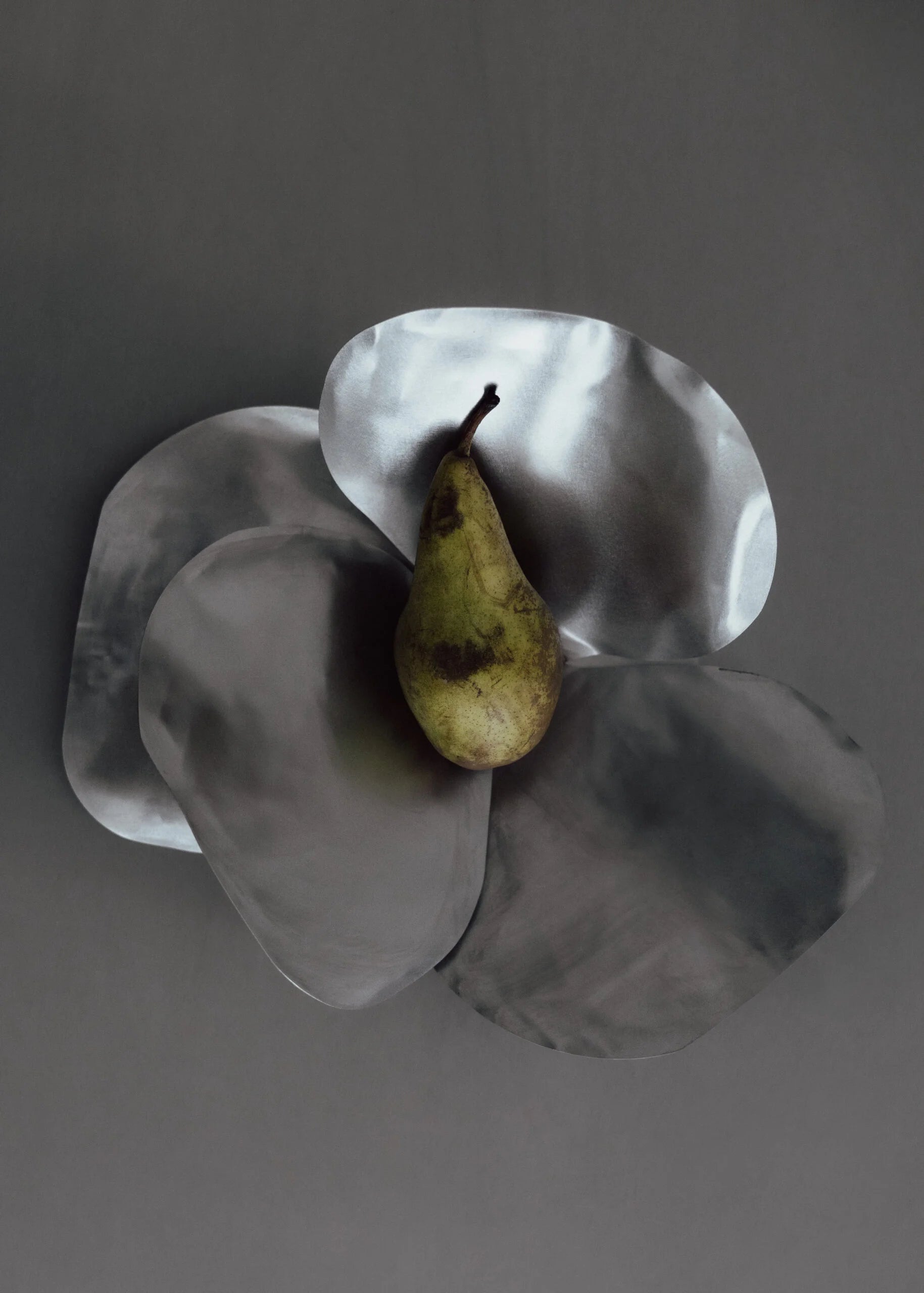 Misa PETALE aus Stahl