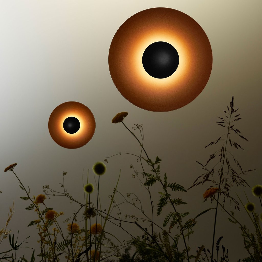 GINGER Outdoor Wall Light in Rusty Brown