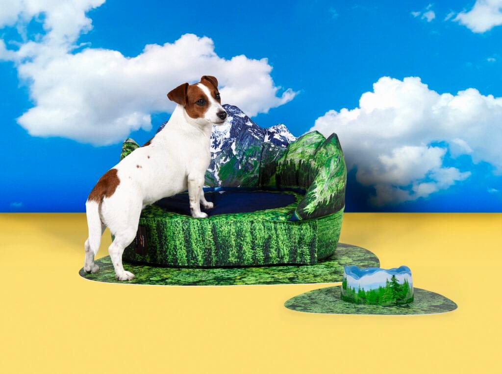 Mata PETS (R)EVOLUTION Les Alpes Seletti    Eye on Design