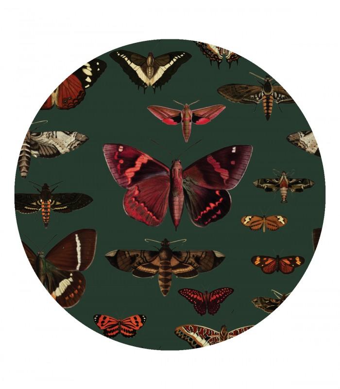 Mural DOTS Butterflies Vert - Nowe ceny Wallcolors    Eye on Design