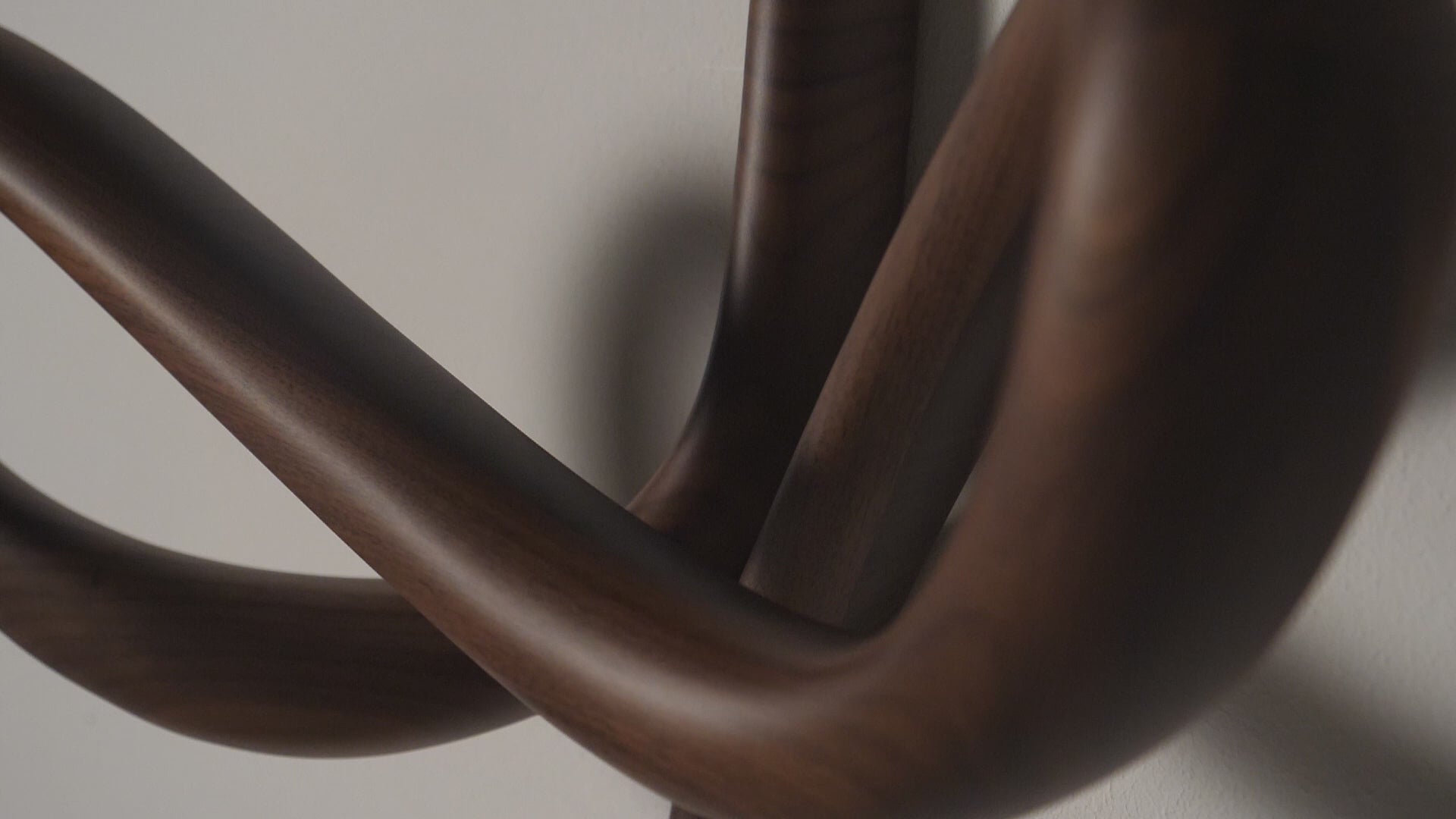VERTIGO Wall Hook Walnut Wood