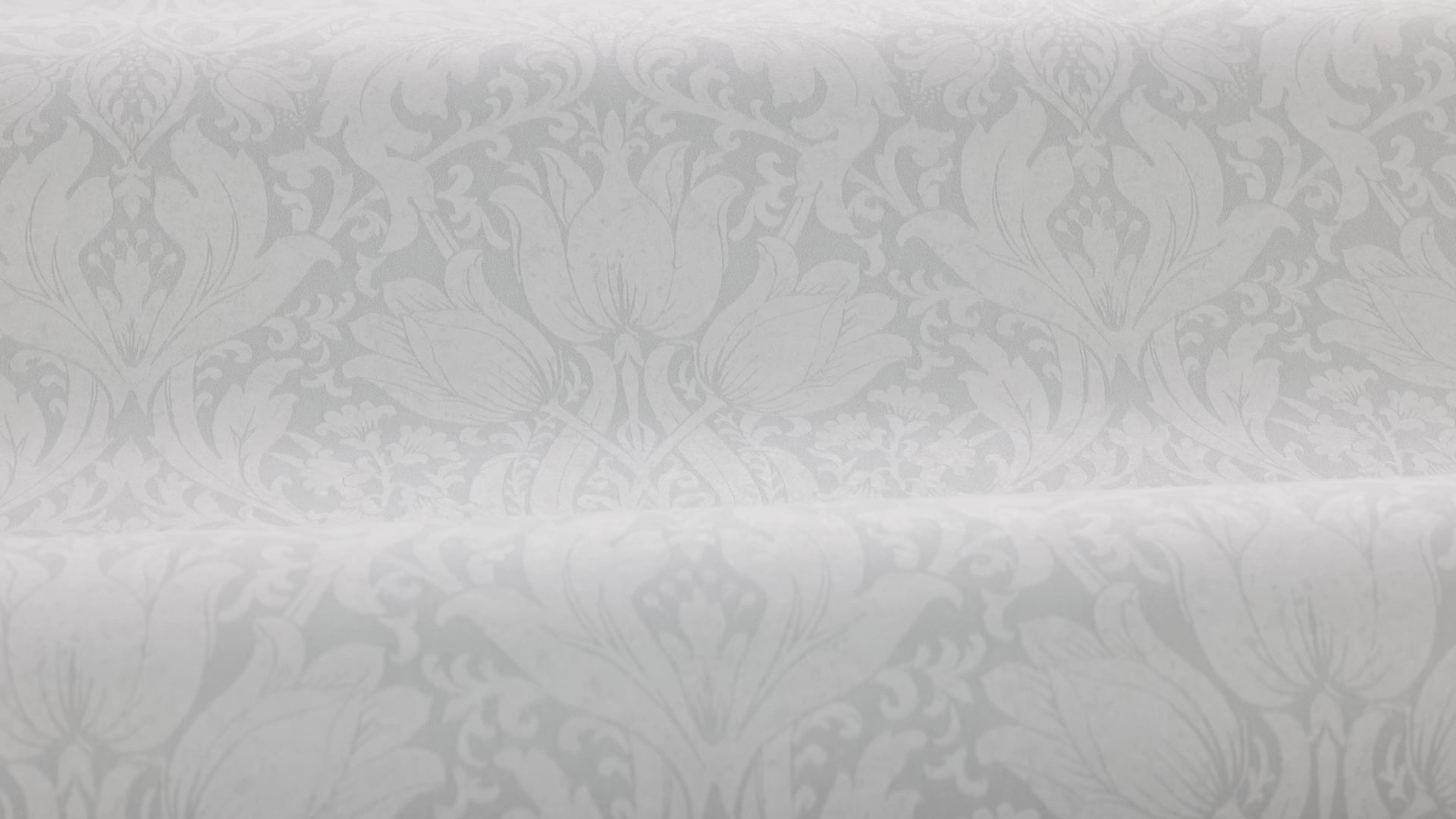 Vlies-Tapete mit pflanzlichem Muster ALBA grau mit Weiß