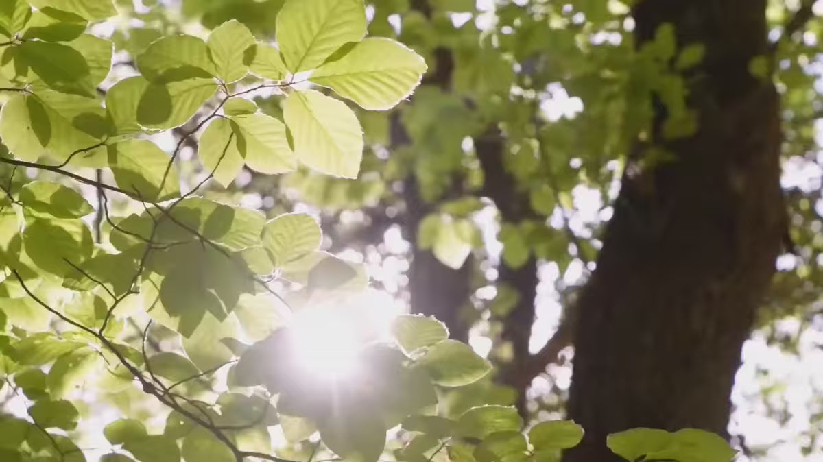 Kinderbettwäsche YANIL blau mit grün