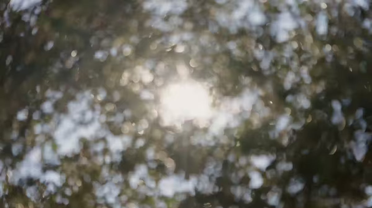 3-Seater Sofa OAQ Beige