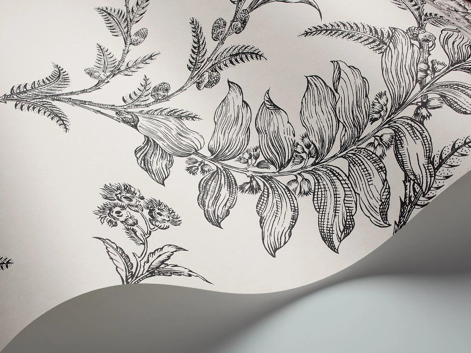 Tapeta ARCHIVE TRADITIONAL - Ludlow Cole & Son    Eye on Design