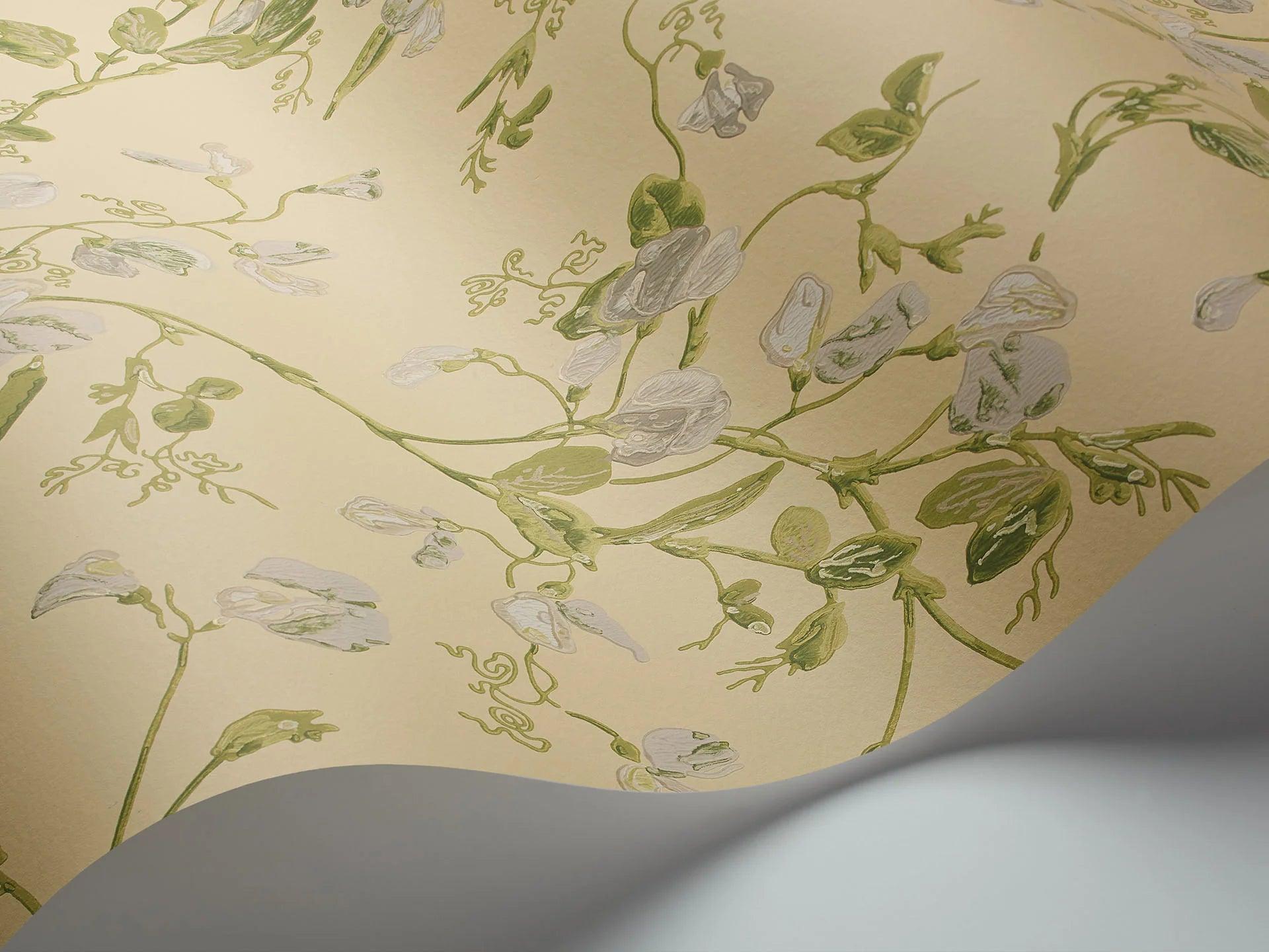 Tapeta ARCHIVE TRADITIONAL - Sweet Pea Cole & Son    Eye on Design