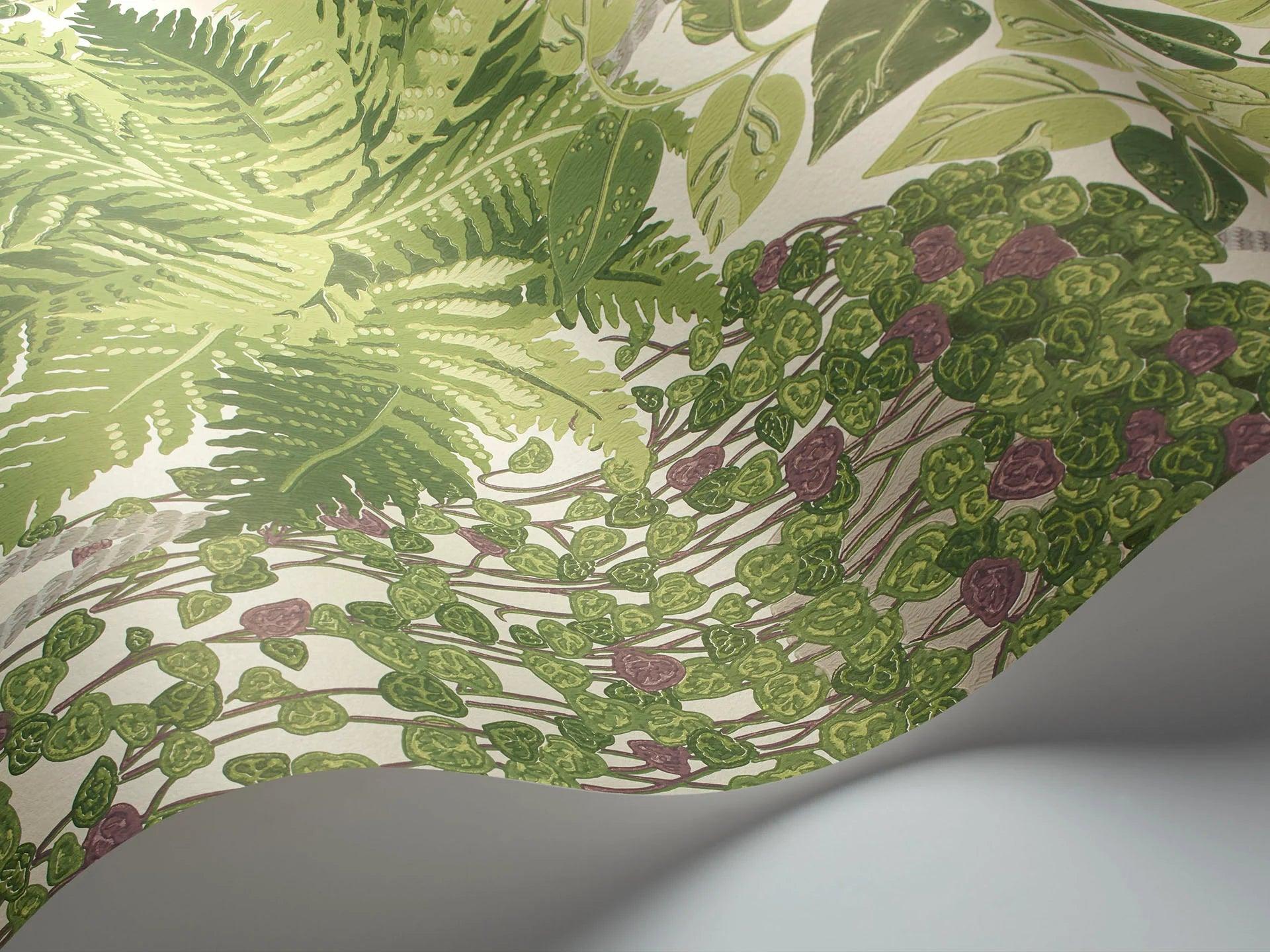 Tapeta BOTANICAL BOTANICA - Fern zielony Cole & Son    Eye on Design