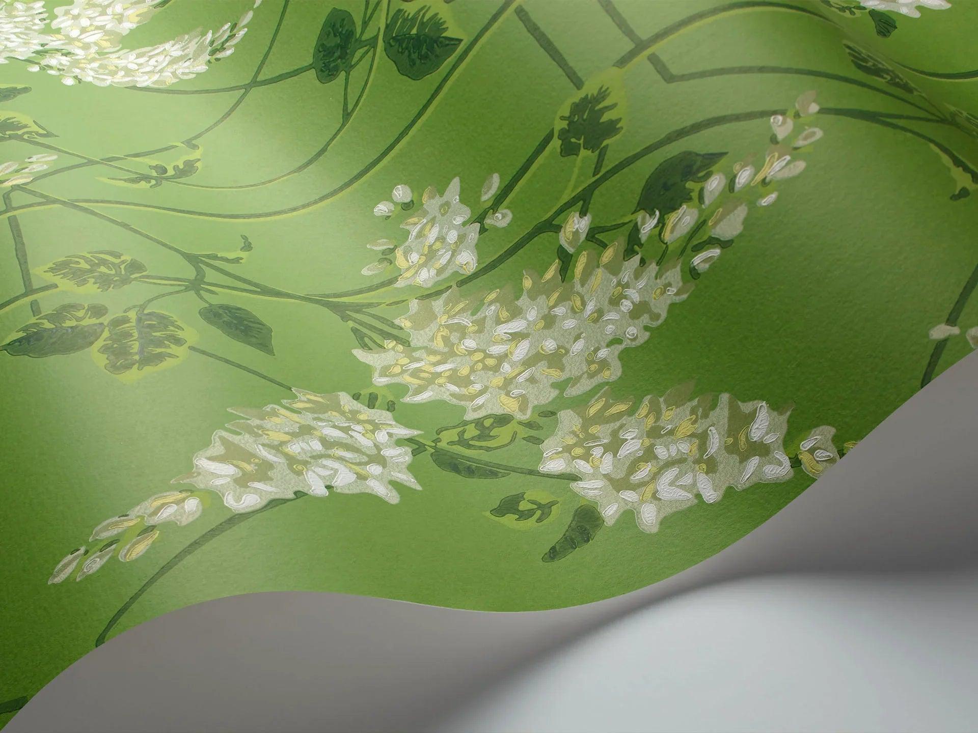 Tapeta BOTANICAL BOTANICA - Wisteria zielony Cole & Son    Eye on Design