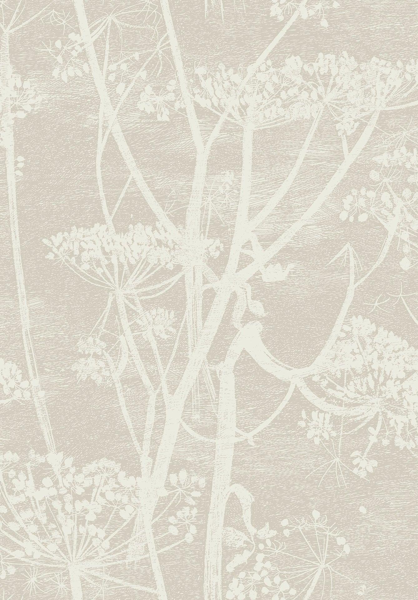 Tapeta CONTEMPORARY COLLECTION - Cow Parsley beżowy Cole & Son Default Title   Eye on Design