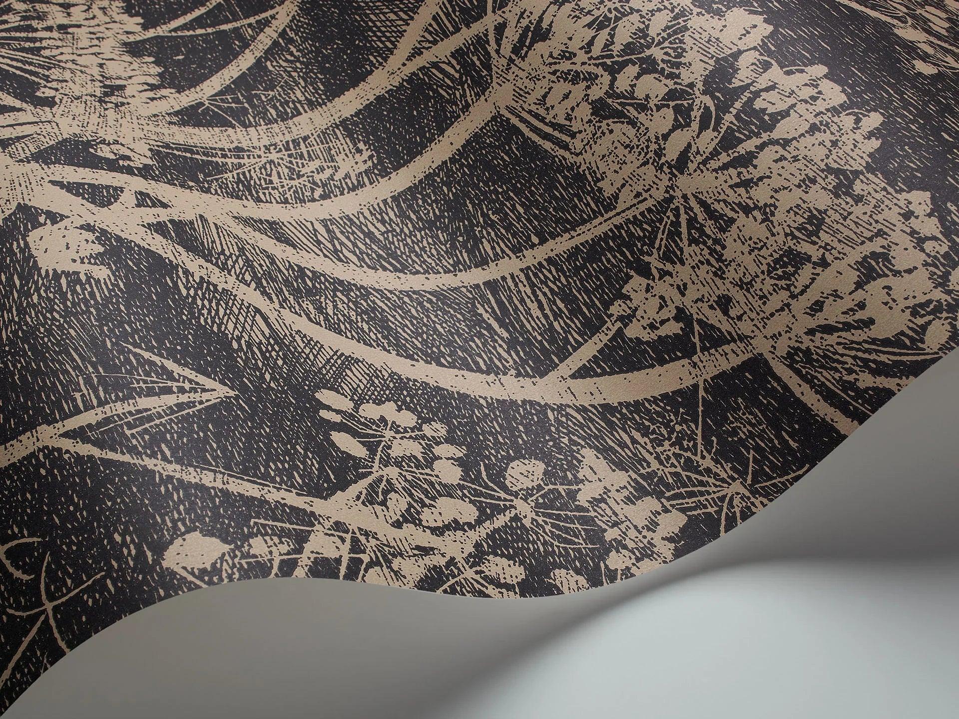 Tapeta CONTEMPORARY COLLECTION - Cow Parsley ciemny brąz Cole & Son    Eye on Design