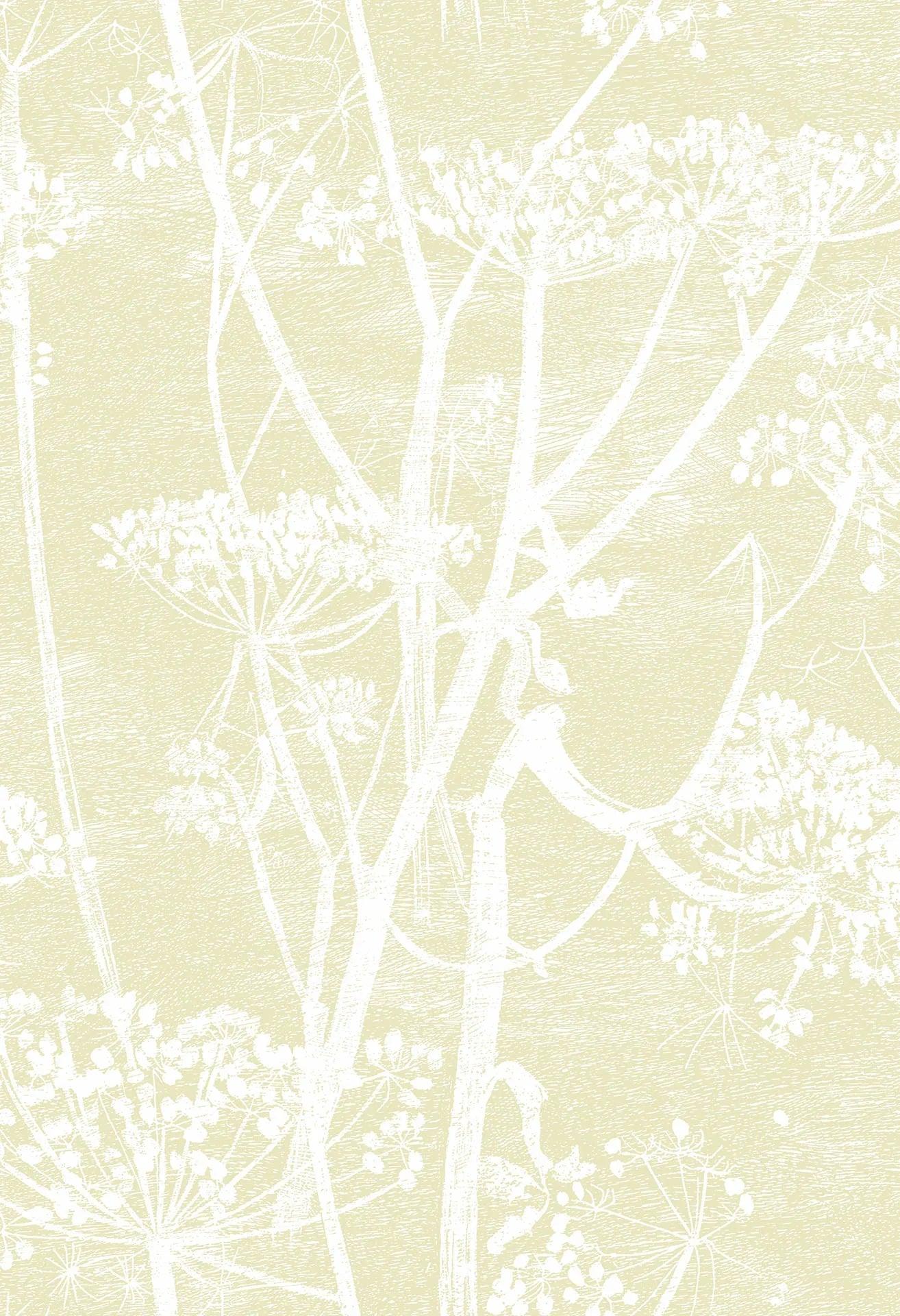 Tapeta CONTEMPORARY COLLECTION - Cow Parsley żółty Cole & Son    Eye on Design