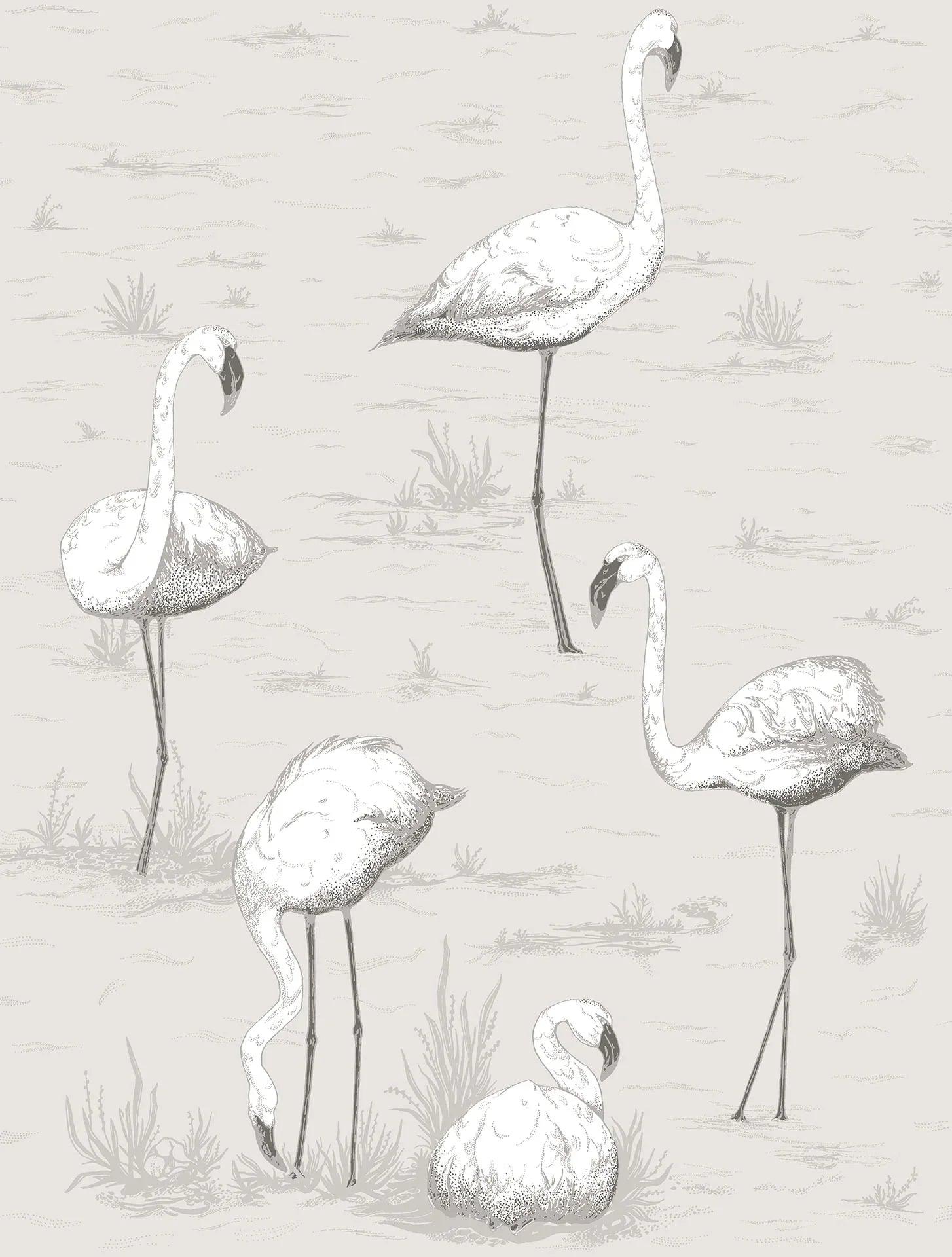 Tapete mit Tiermotiv Flamingos MODERNE KOLLEKTION - Flamingos grau